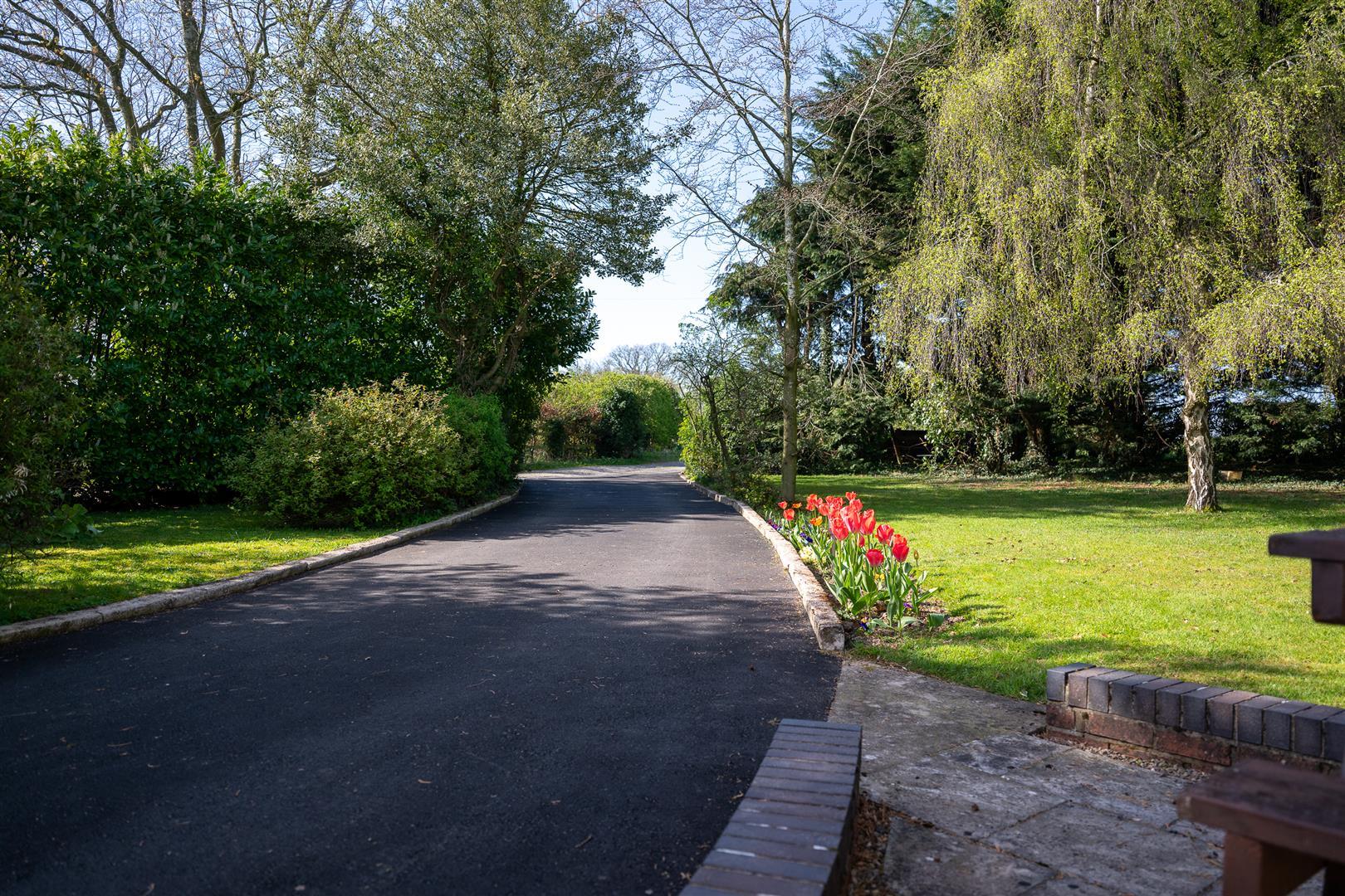Property Image 12b979b1-6538-464e-adf8-f8159b4ee64f