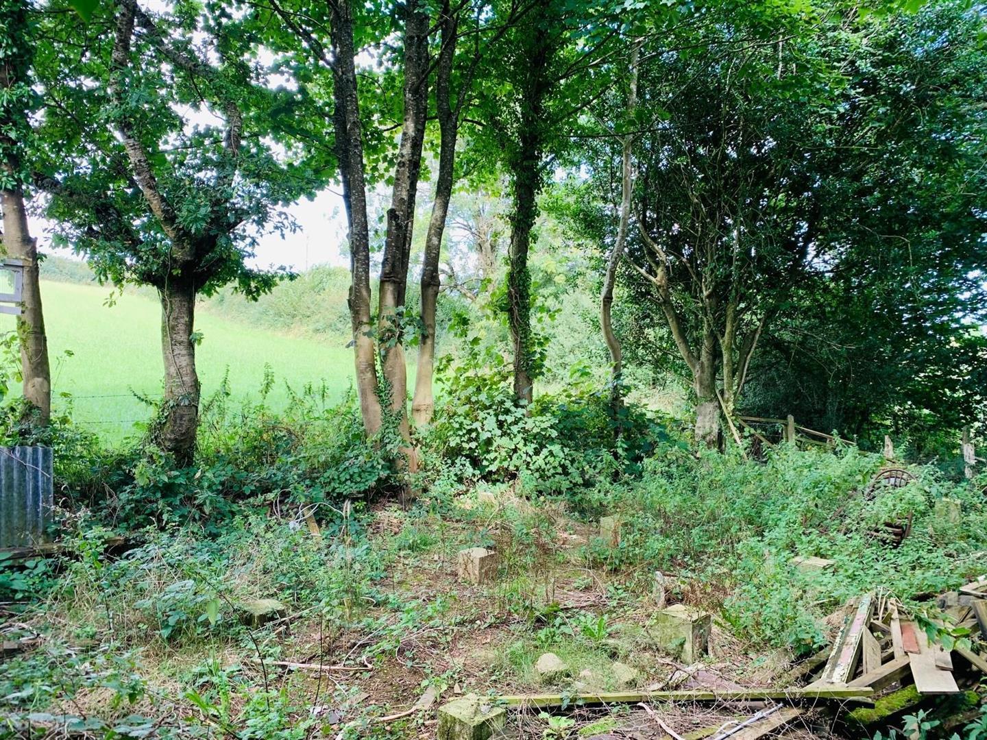 Property Image 12d76598-04d1-4b44-a8f2-5ce6d66ddd33