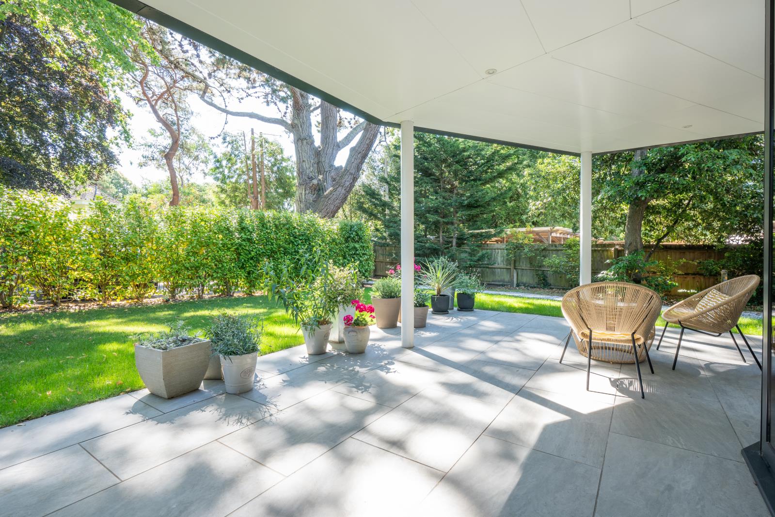 Property Image 12ff6596-9353-4d05-8df0-9e4baa2cf5ef