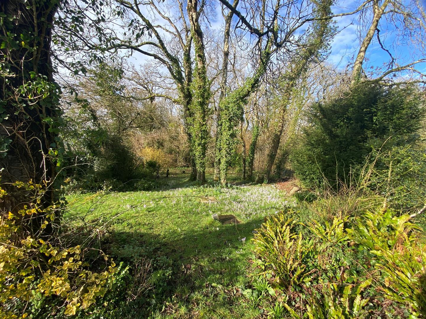 Property Image 131134a1-d804-4e77-9814-43982ecb321c
