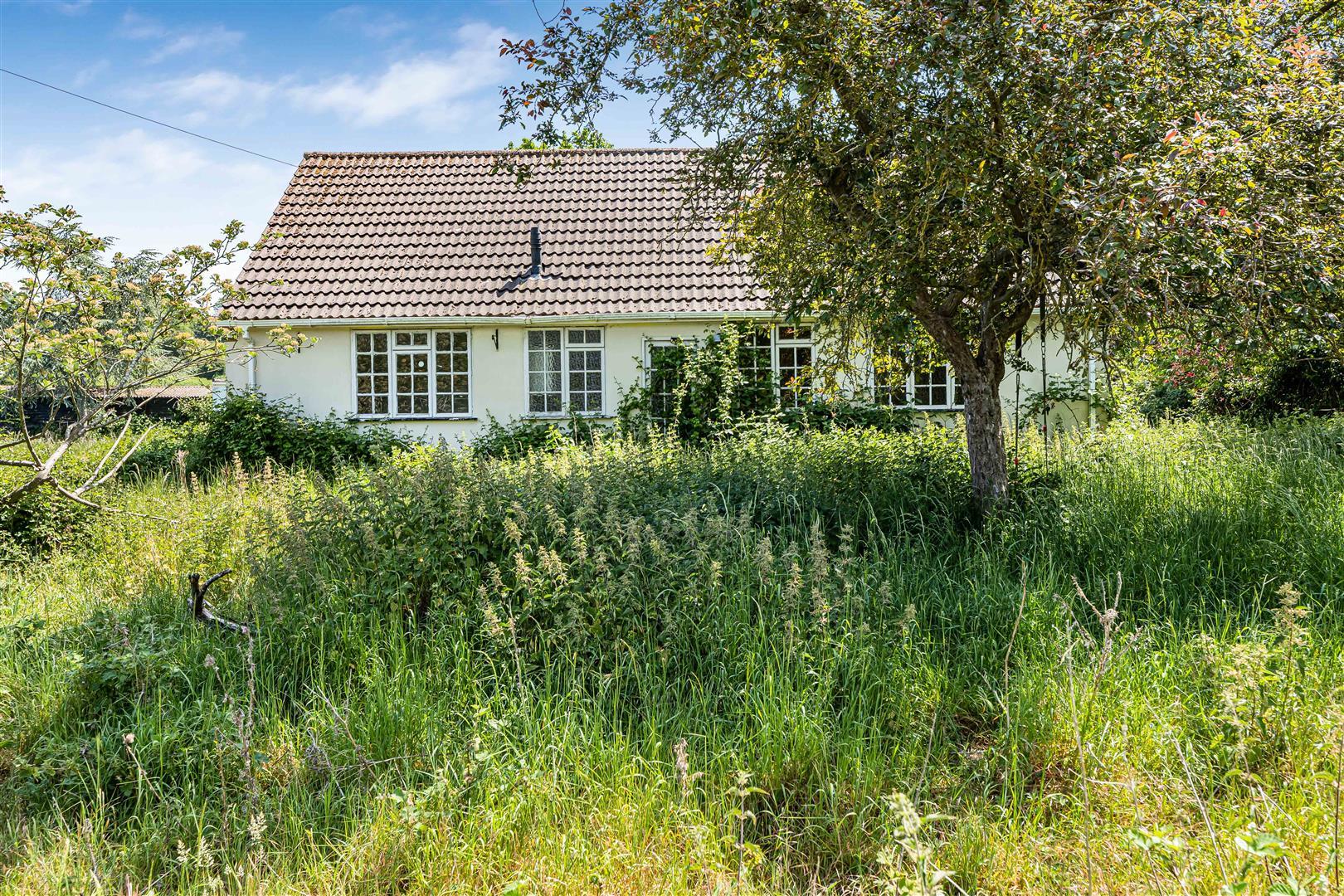 Property Image 132805c5-8d00-4391-aad9-bd4cd6209db2