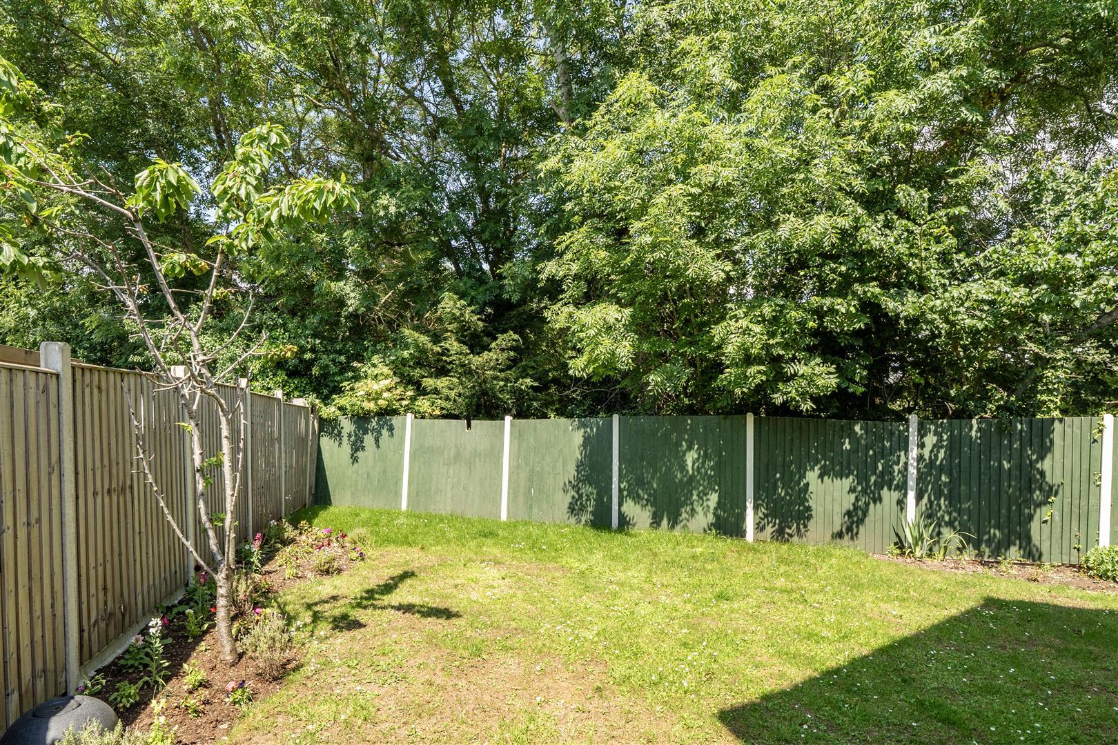 Property Image 1409135d-f112-4b37-8115-0c0c4d7f0c06