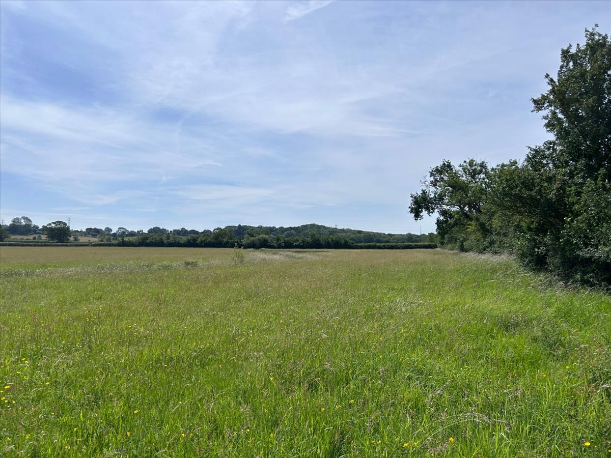 Property Image 141db355-8ffb-4bfa-8bb2-6038dccac385