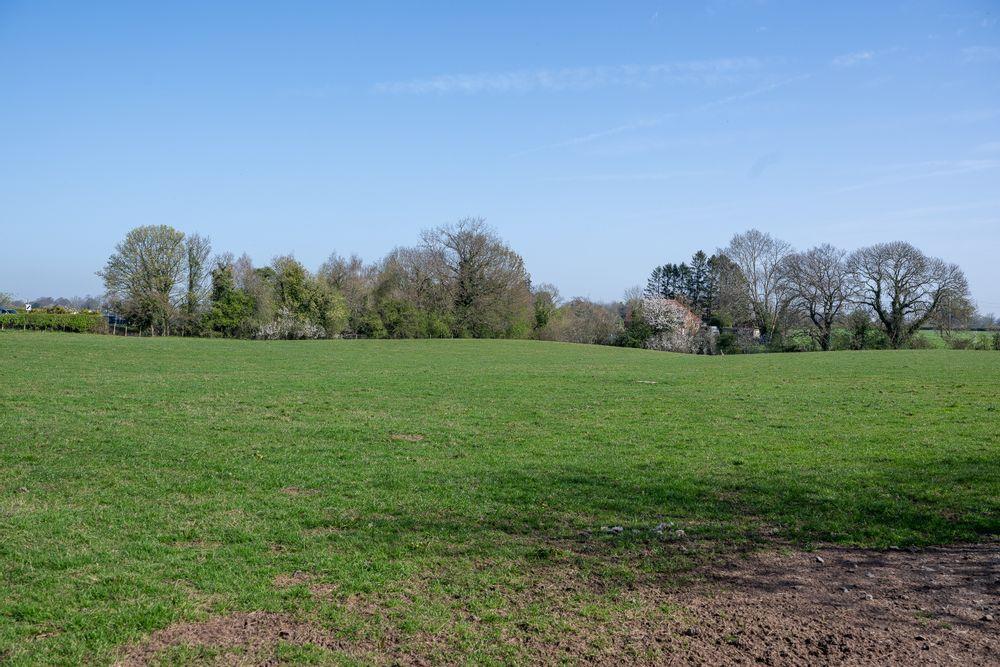 Property Image 145aa820-74f2-4732-9412-ba433e24e710