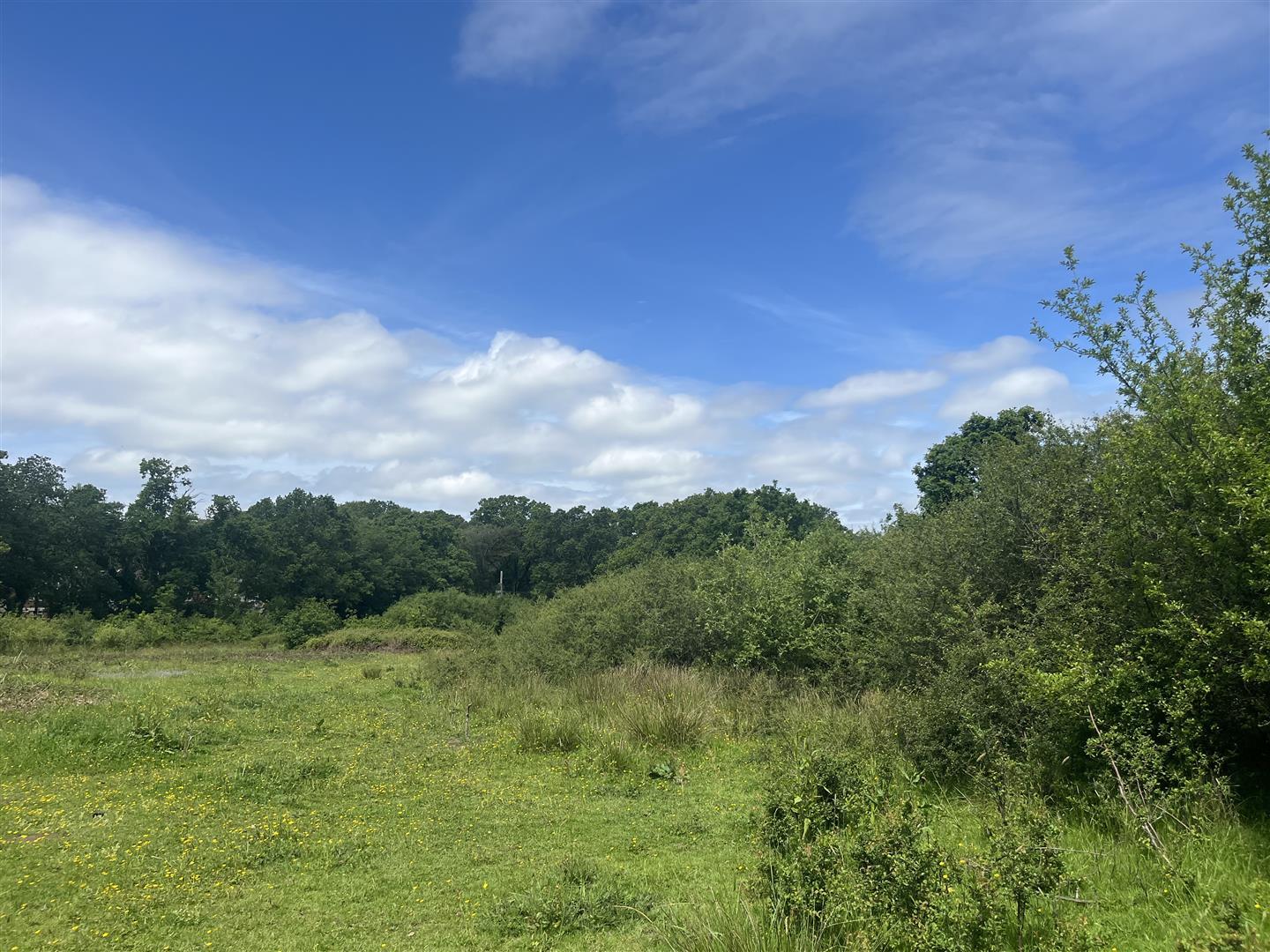 Property Image 14a4d183-b30f-48c9-9f14-1a5b9fad9631