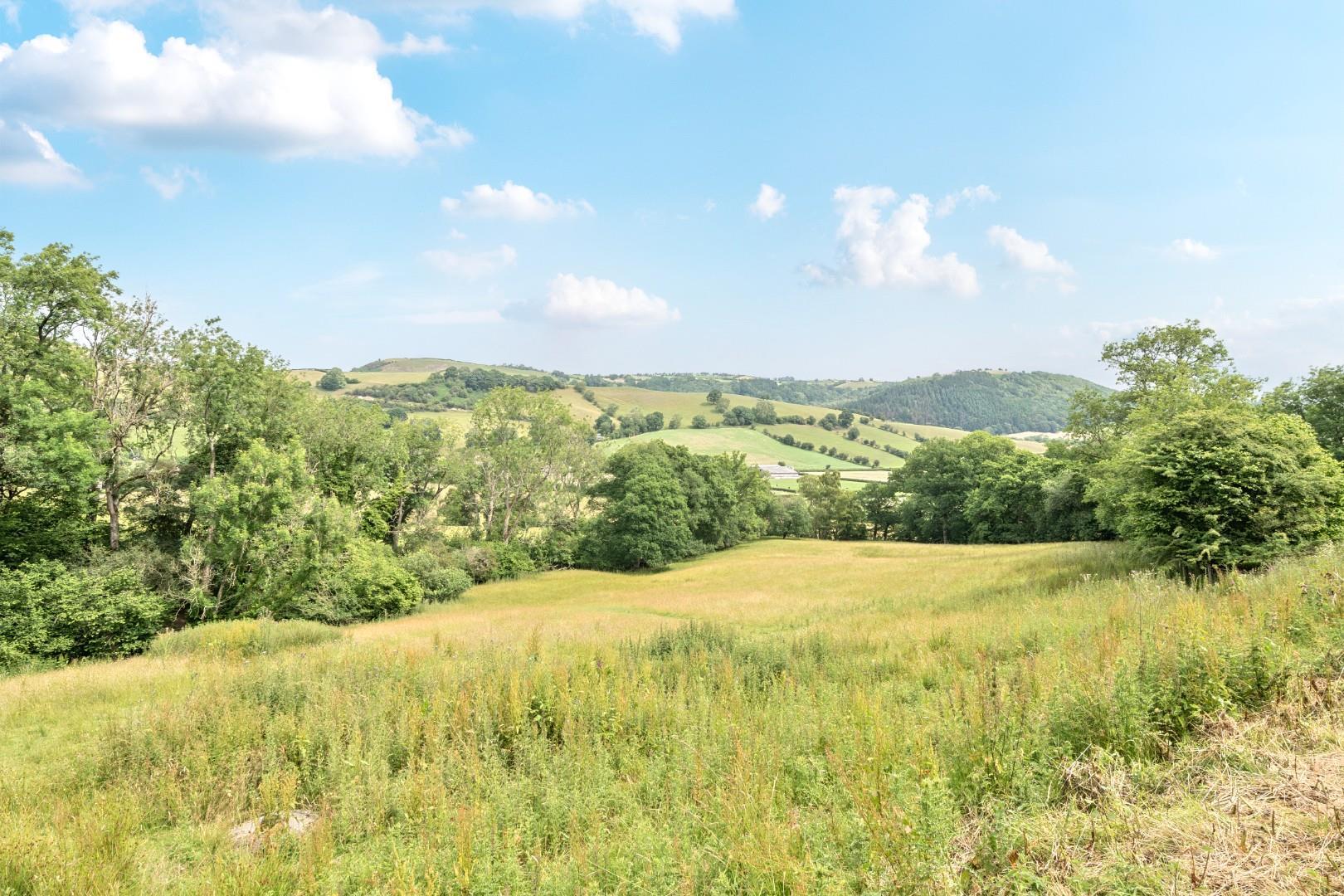 Property Image 14b9e701-57a0-4269-ab62-8525c346d18e
