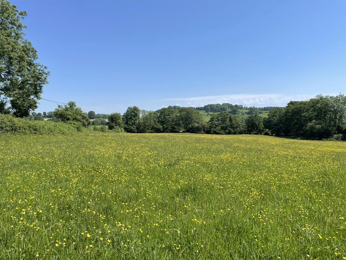Property Image 14e54373-8420-401a-9ae0-5e4cd9412400