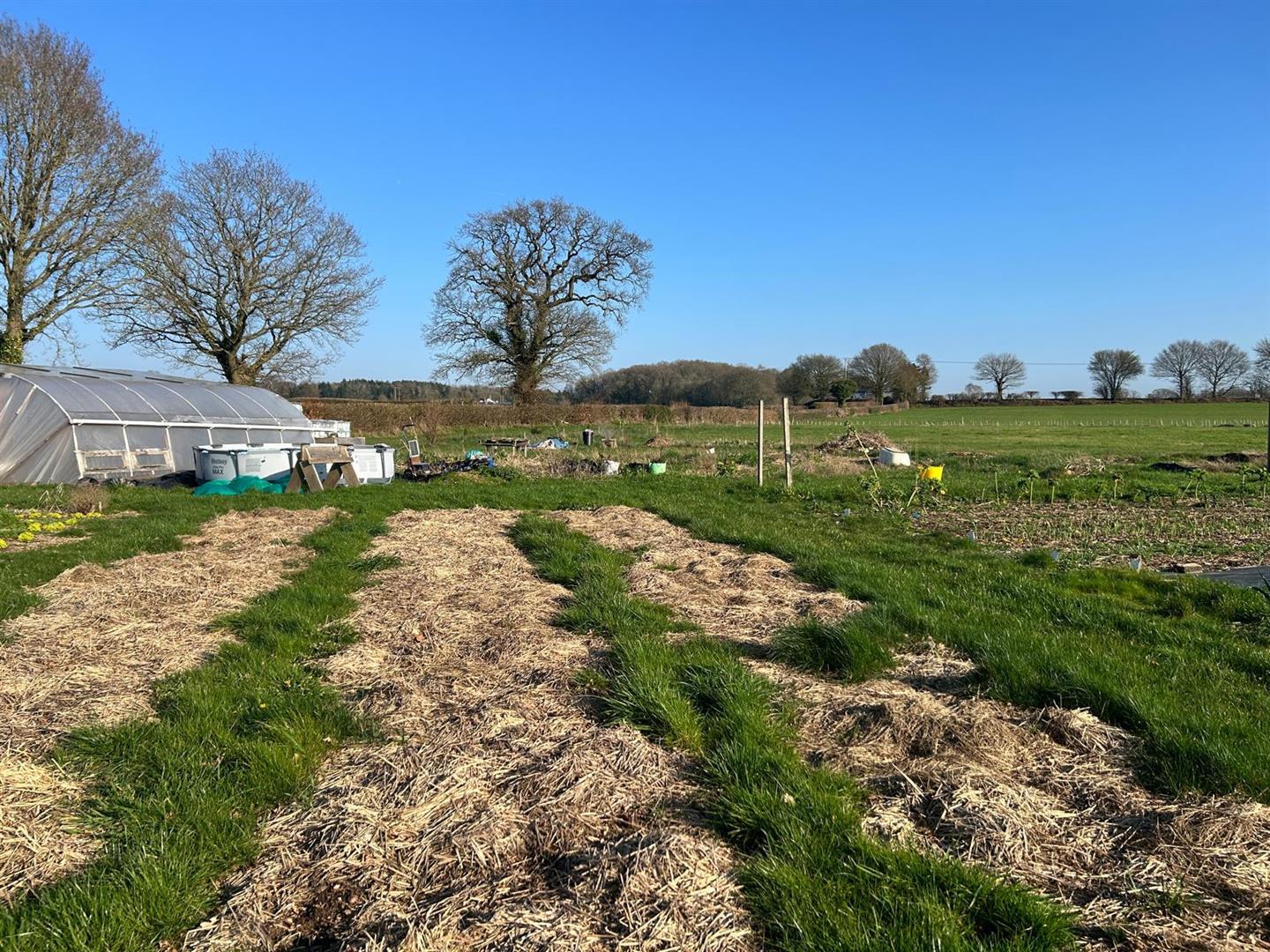 Property Image 14e9a2d7-0dbf-4d0f-817f-bd20e0079a6e