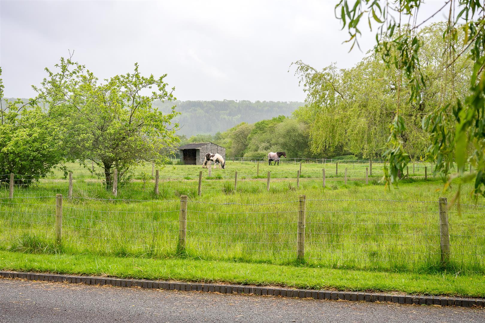 Property Image 15238bf2-ab14-4f77-85c1-841fb7b0c38f
