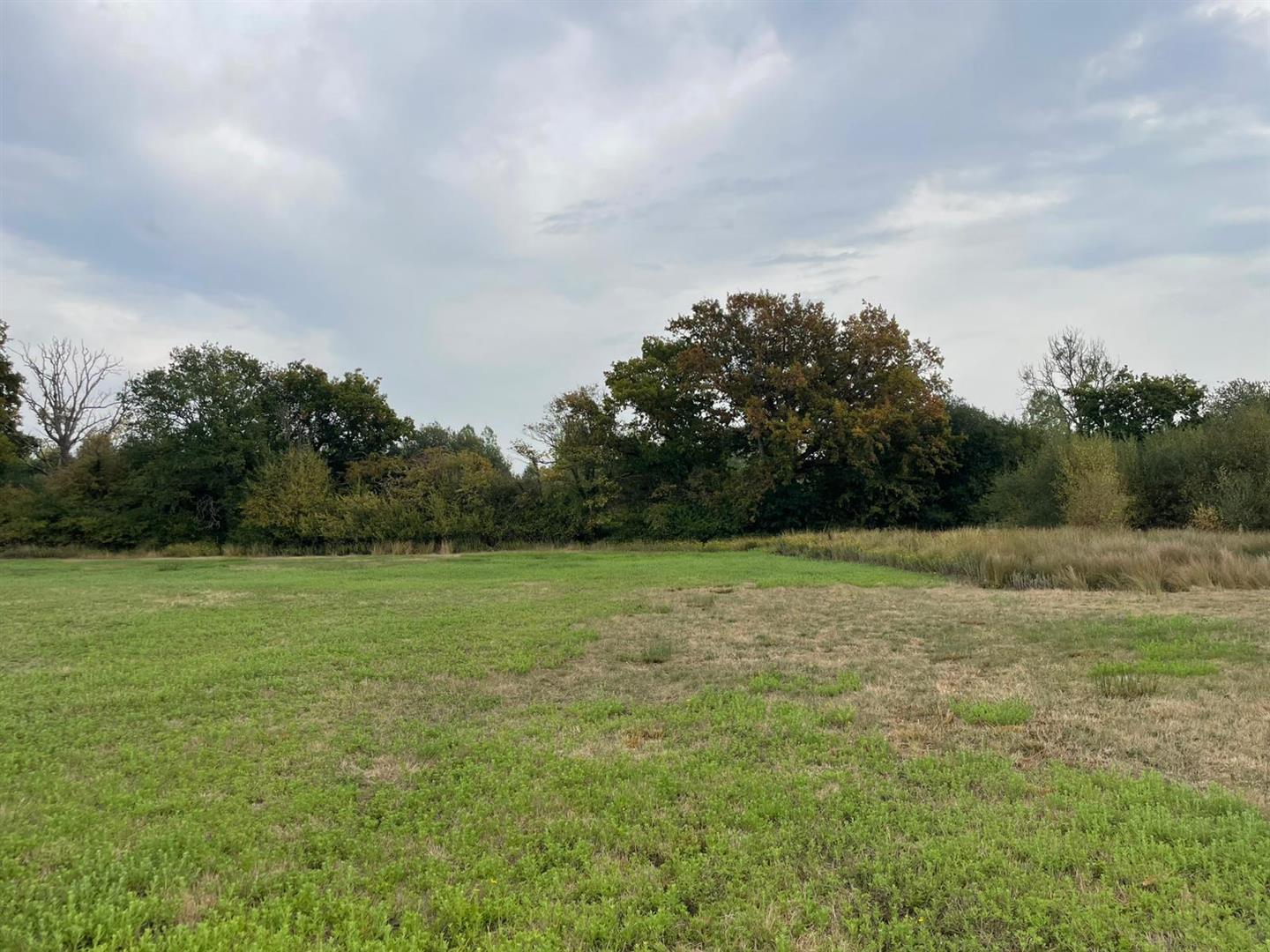 Property Image 1534223c-ee7d-45dd-83b6-9b95be178813