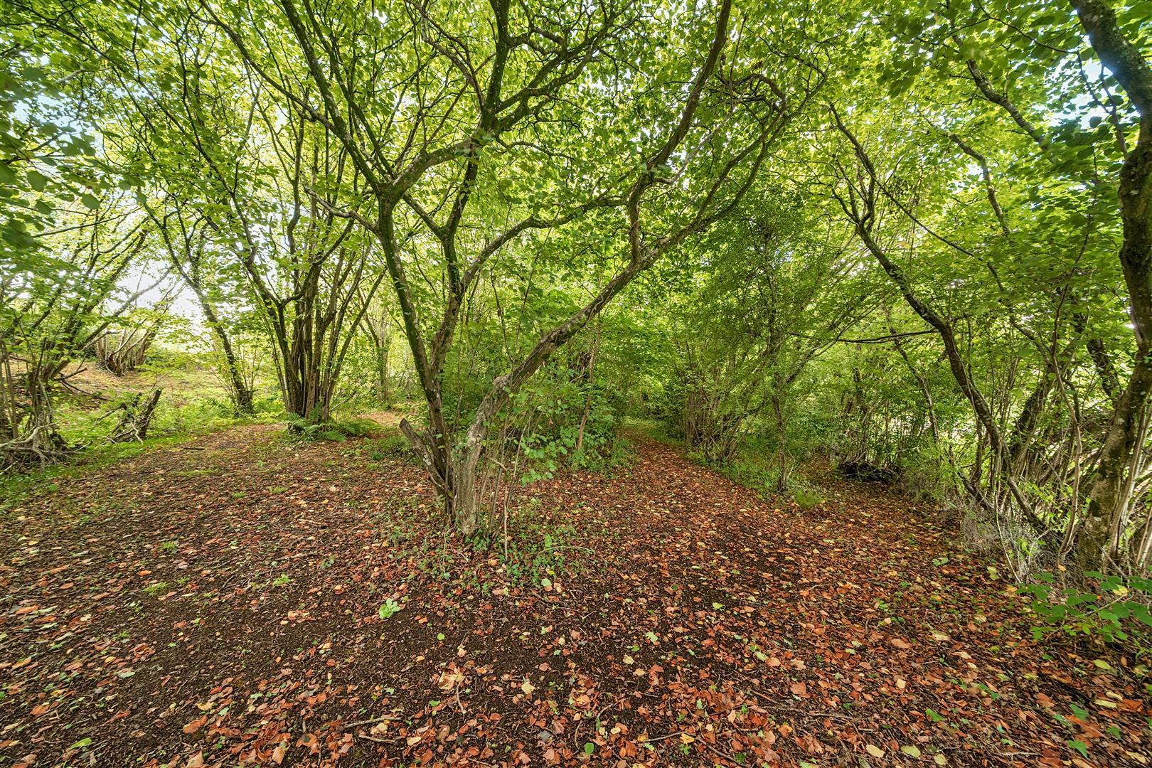 Property Image 154f3e6b-5fcf-4cf8-ad63-be833fc31abb