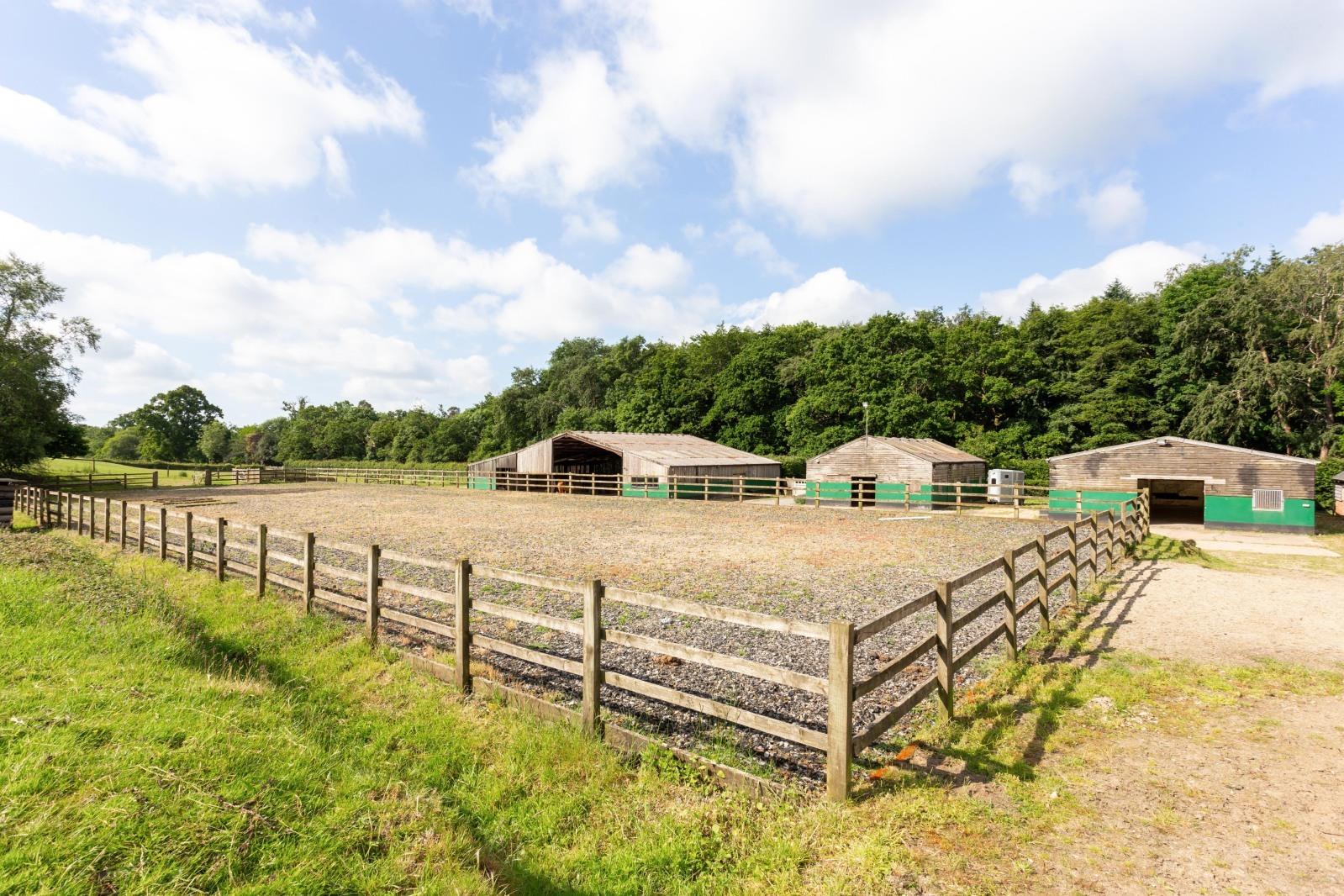 Property Image 15764287-8558-4919-b1a2-792837a486f5
