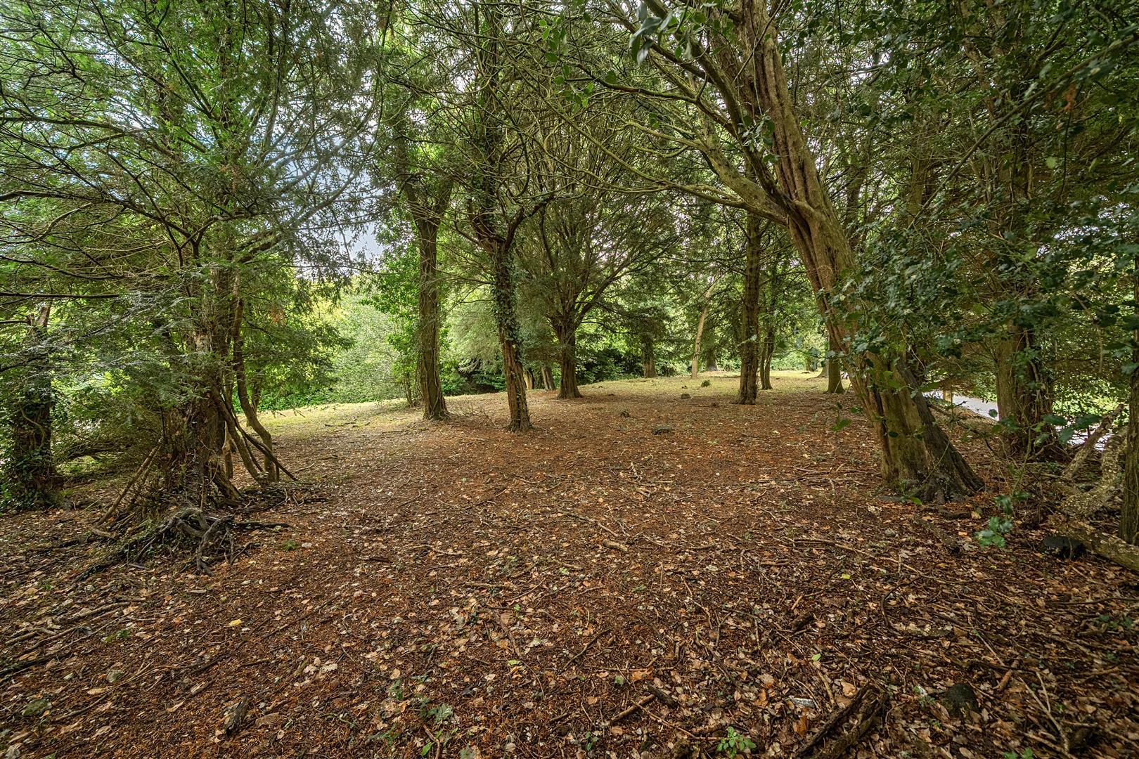 Property Image 15789d9b-a4f5-465b-8598-742801e63034