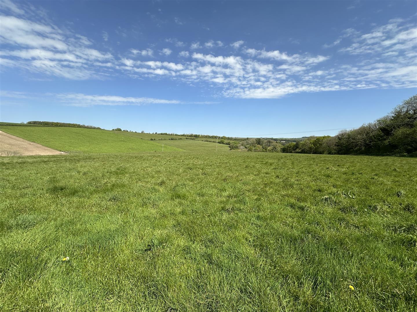 Property Image 15808f3d-8b0a-4430-afb4-4cc581ed9b55