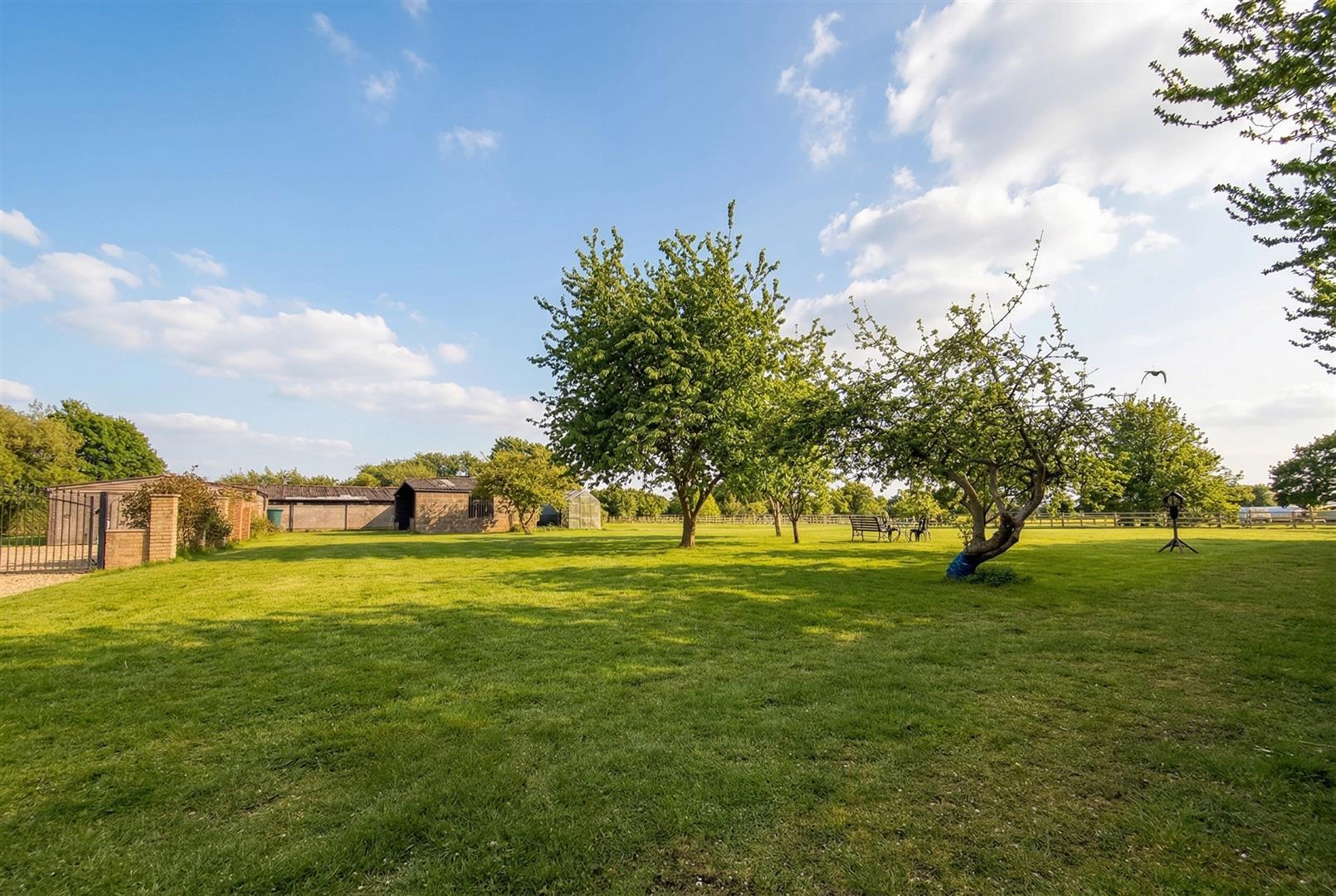 Property Image 1581a9fa-91ac-4f08-8e90-8c6c33d3aa2e