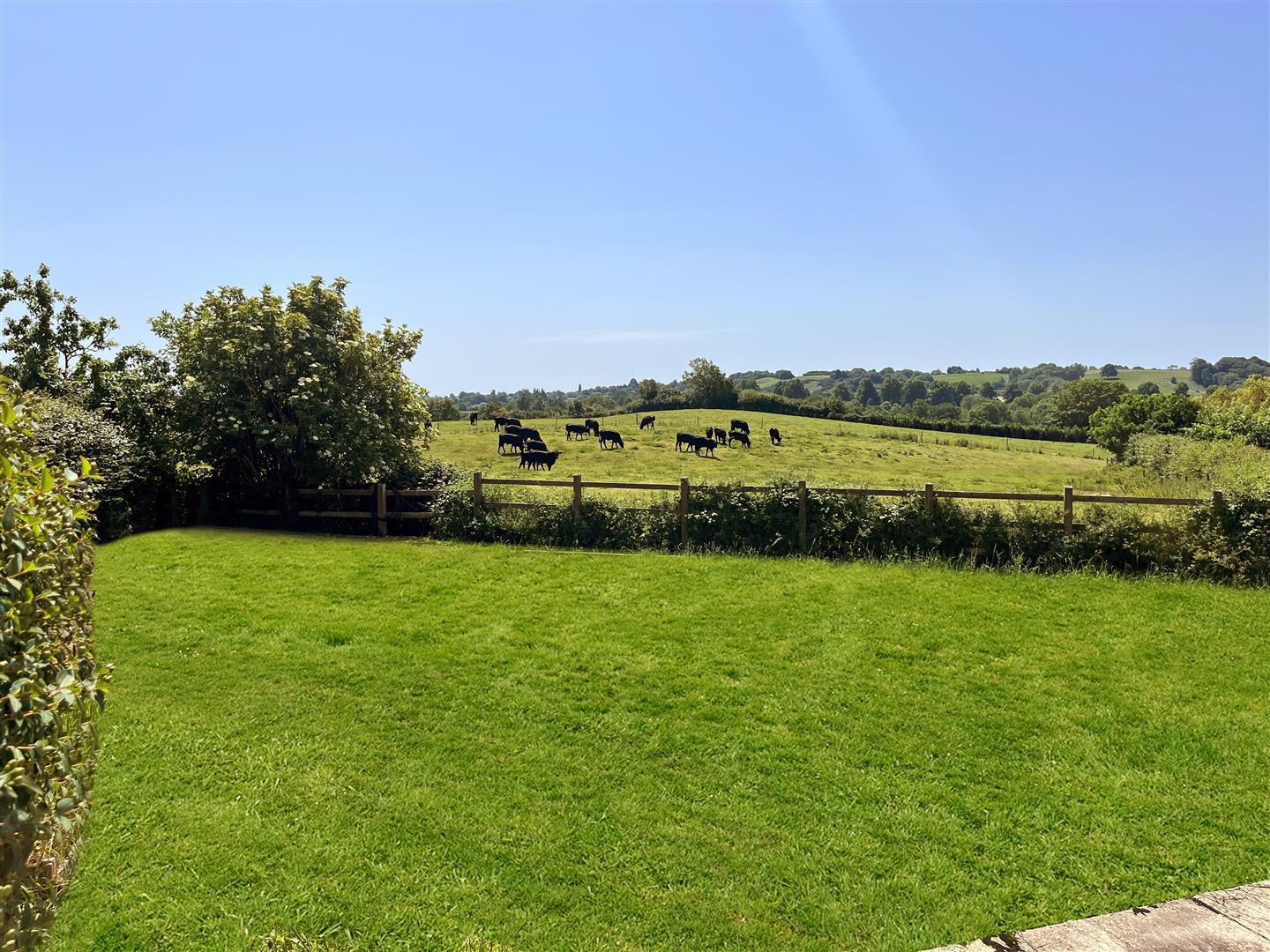 Property Image 15957a76-3e99-410e-8e53-82325e0ffdd7