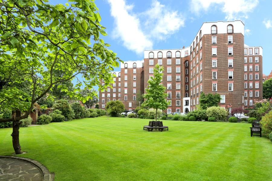 Property Image 15ae22a2-5ee3-4af7-bf87-6ae44cdccc58