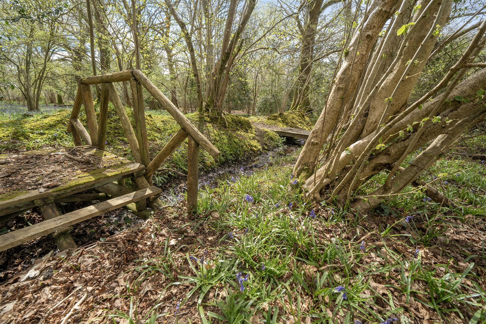 Property Image 15b4f513-b66d-40d7-8ffc-3ef71f3d7cd4