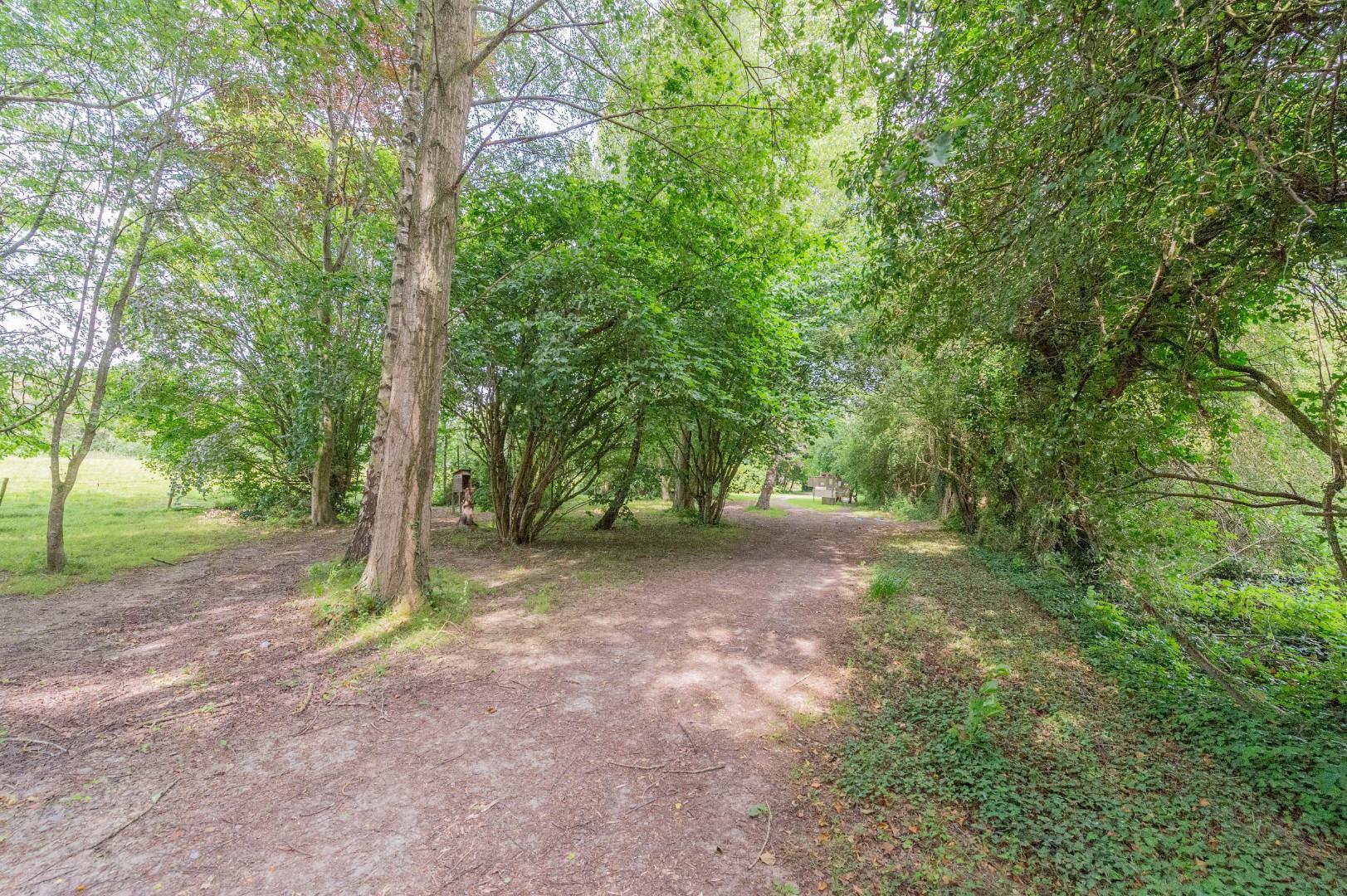 Property Image 15d92954-94ab-4d53-b8d7-f6b8eb249fd9