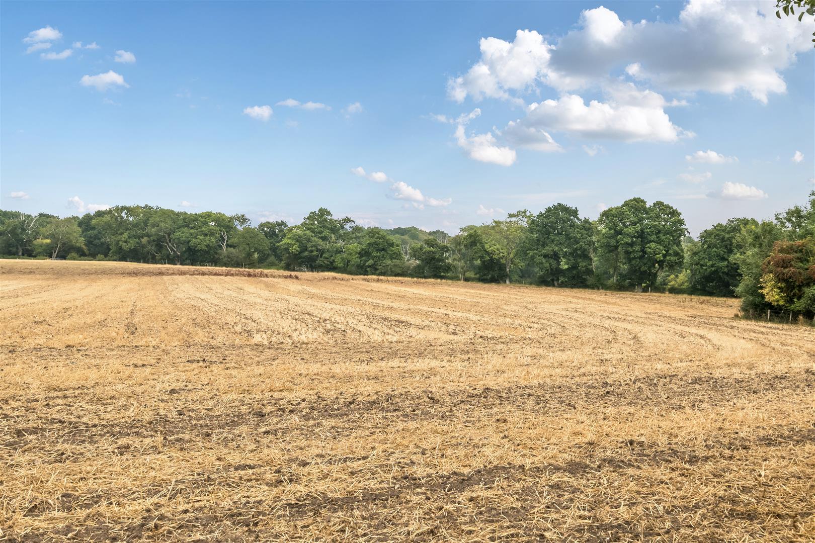 Property Image 15ed7b48-0b52-42f9-81dc-4b9b0ad1eba6