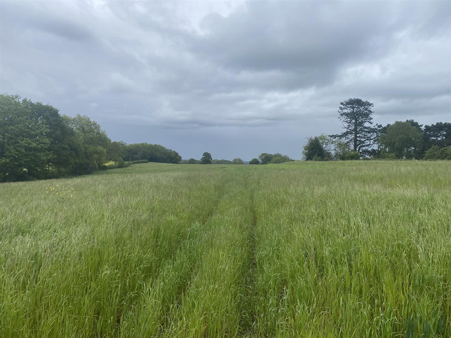 Property Image 1633b402-931a-4a9e-b0db-3e23a8db86fc