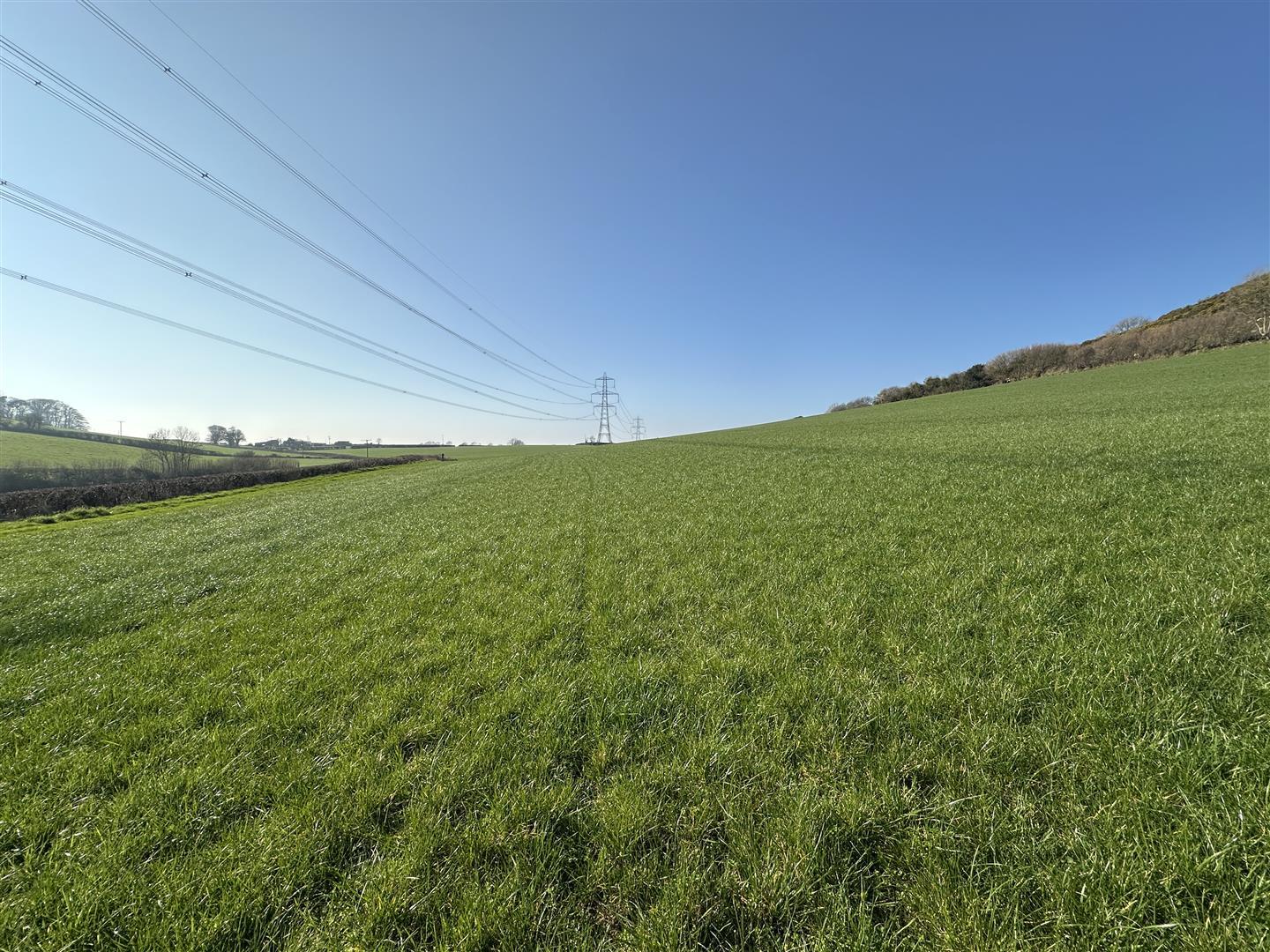 Property Image 1646d371-3a91-42e0-a3c1-9a7b1bd7cdb0