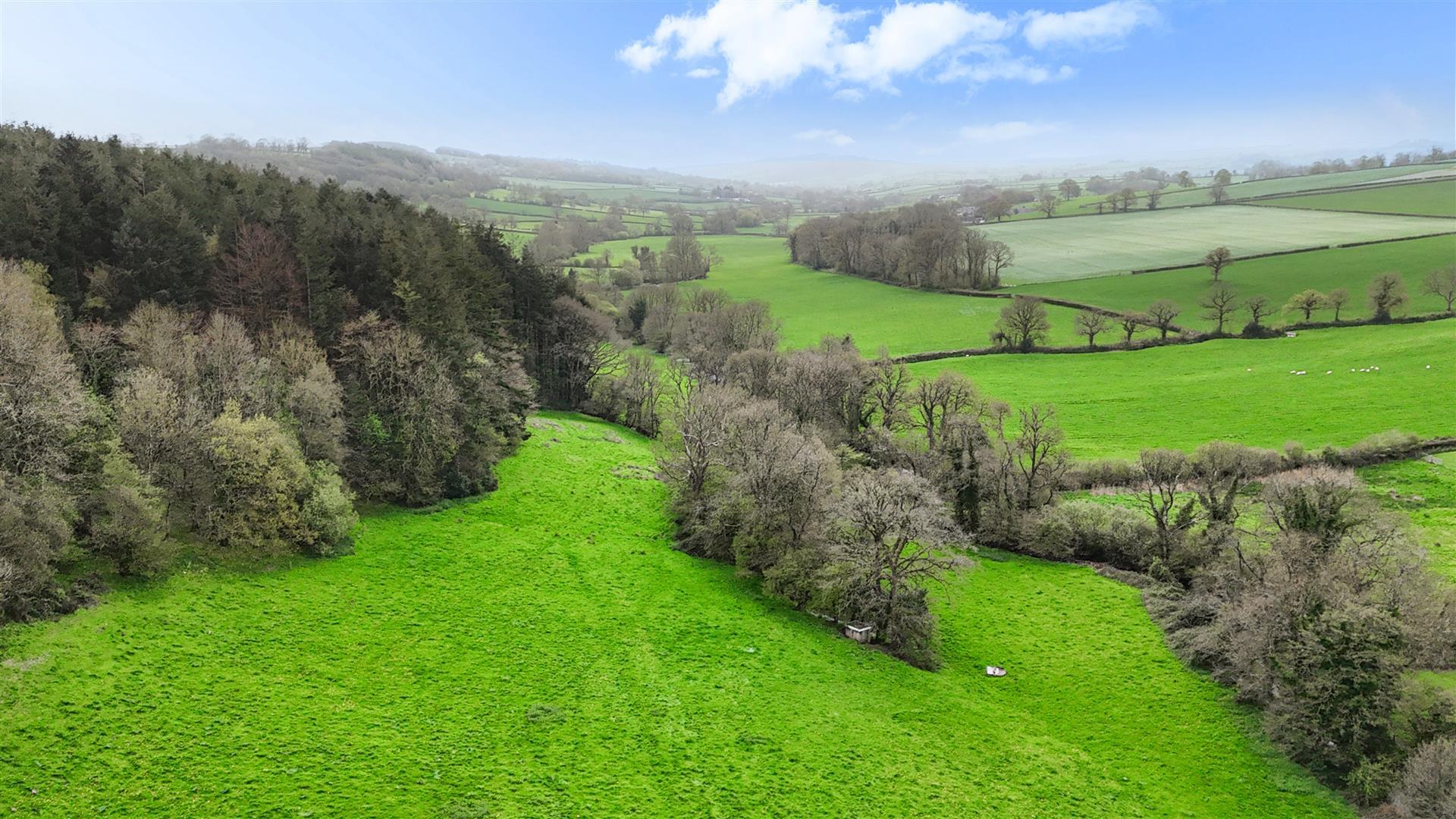 Property Image 167dd5ad-8a9b-4294-a70e-28ce768247b5