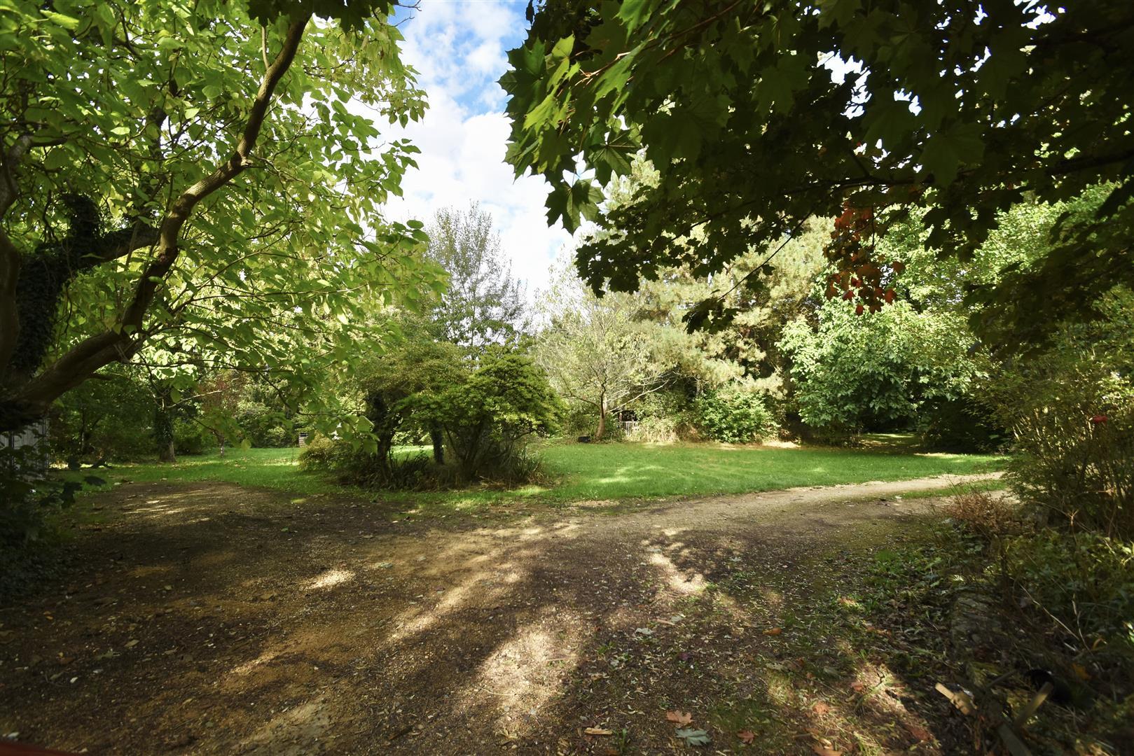 Property Image 16898a8b-a1fe-48a0-a947-e174ecddc715