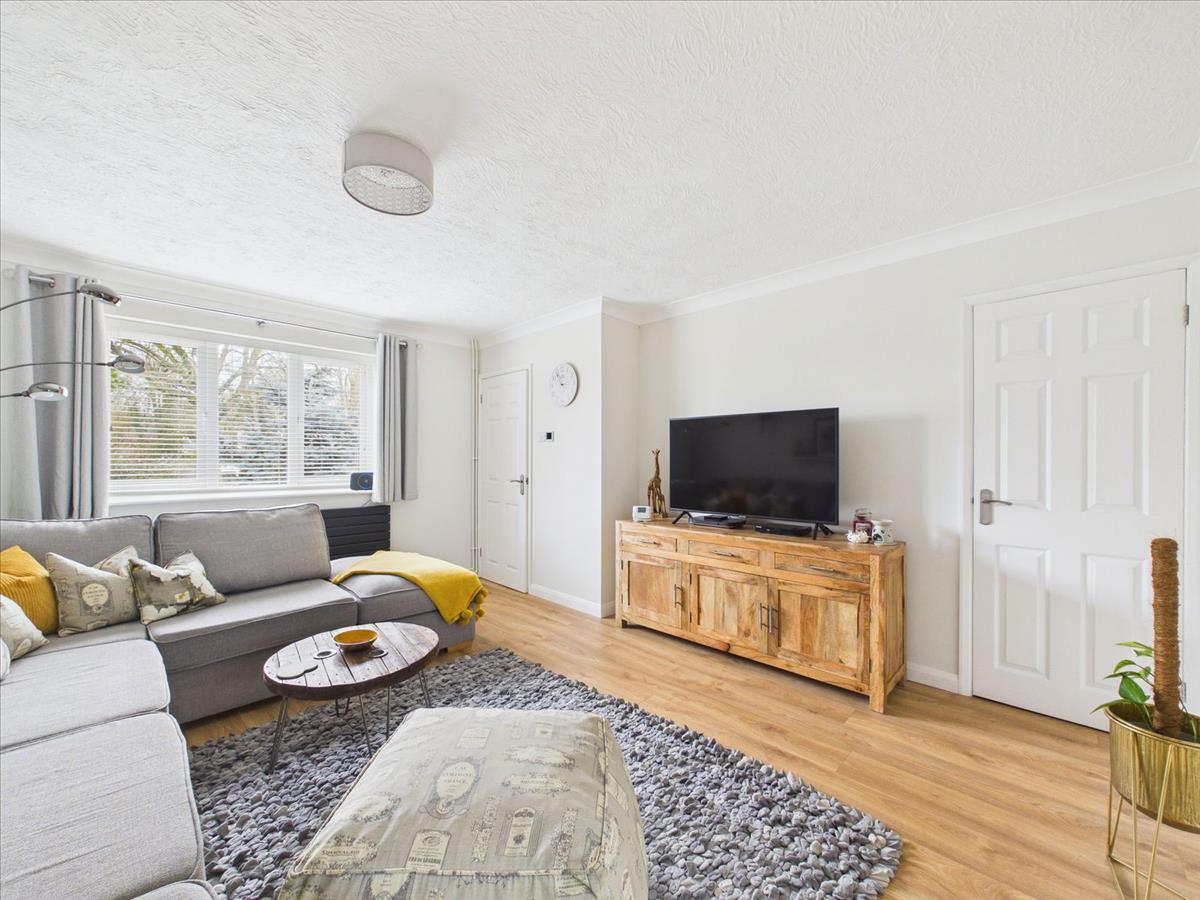 Property Image 16905d49-18f2-4bde-a40c-9c0fda5c5049