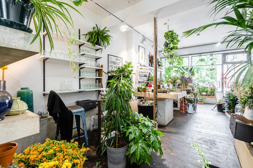 Property Image 16927c21-b9ec-4ddd-a0f4-22e64ebddbaa