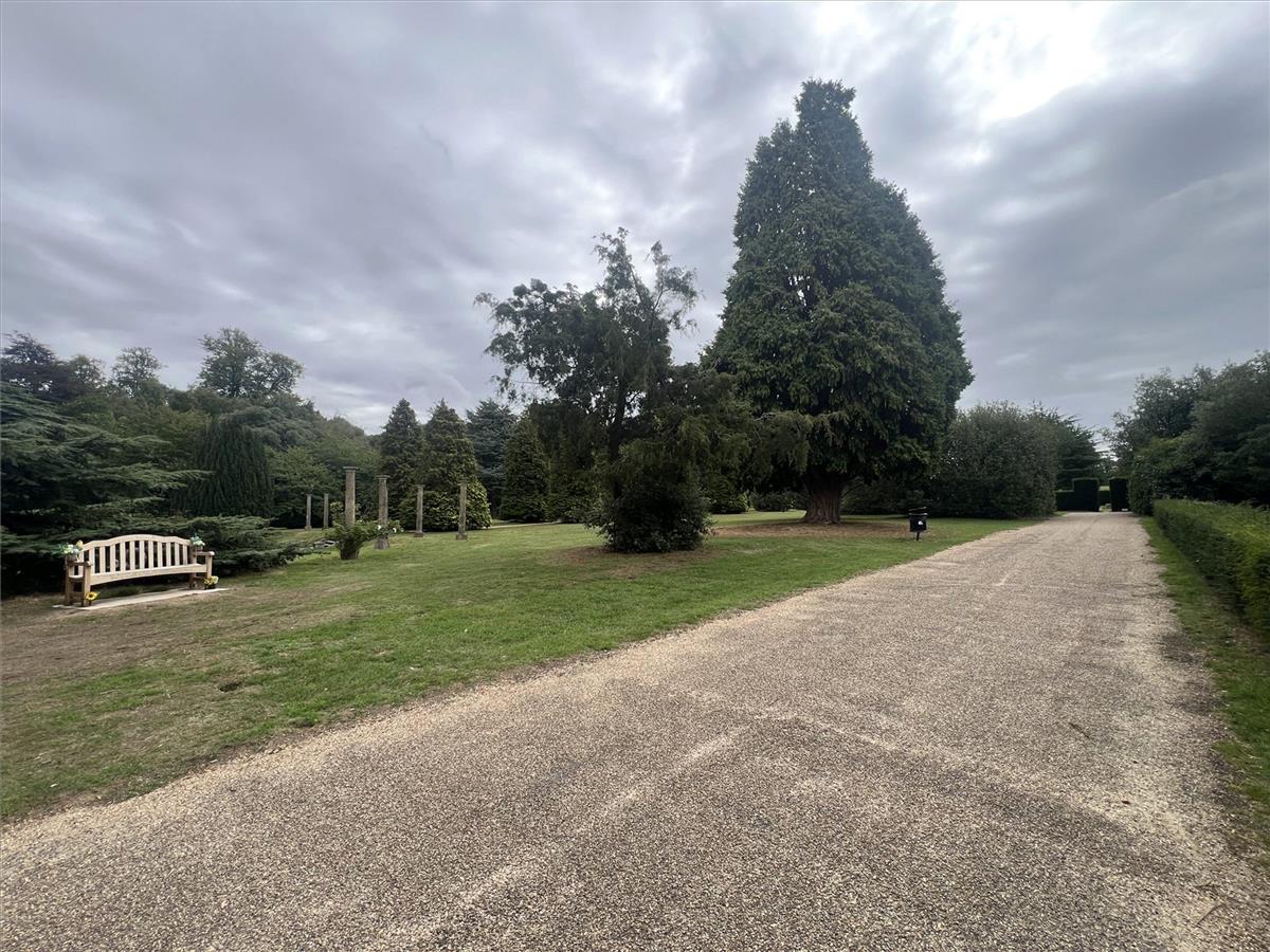 Property Image 16b1c8a3-83be-483e-a759-dfa377adeb38