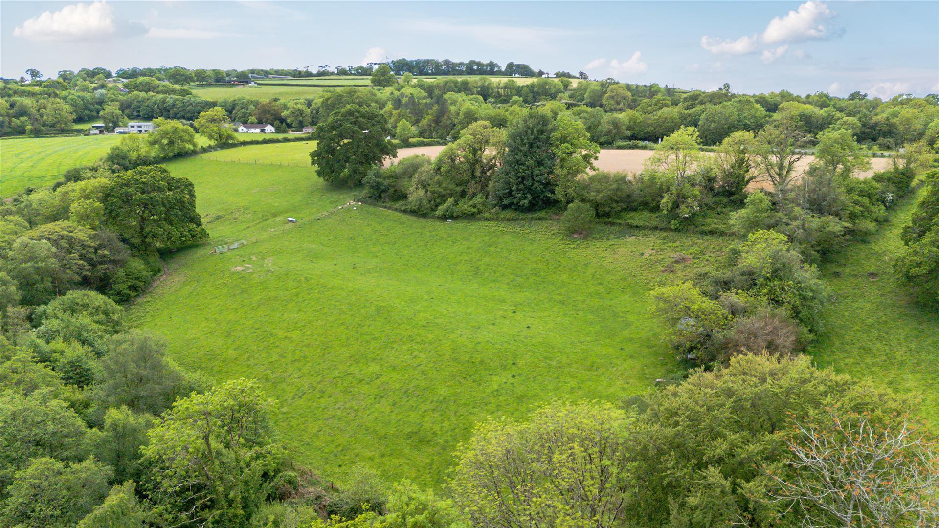 Property Image 16d30640-3b3c-4ea6-8515-83cbf50cc835