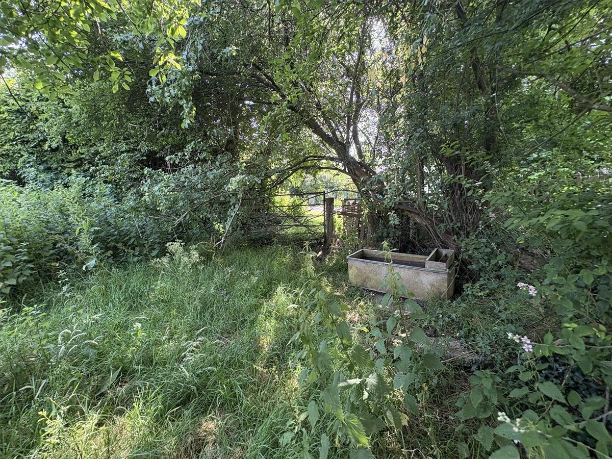 Property Image 16da24b4-0ce3-46eb-92fc-2aa61e280f67