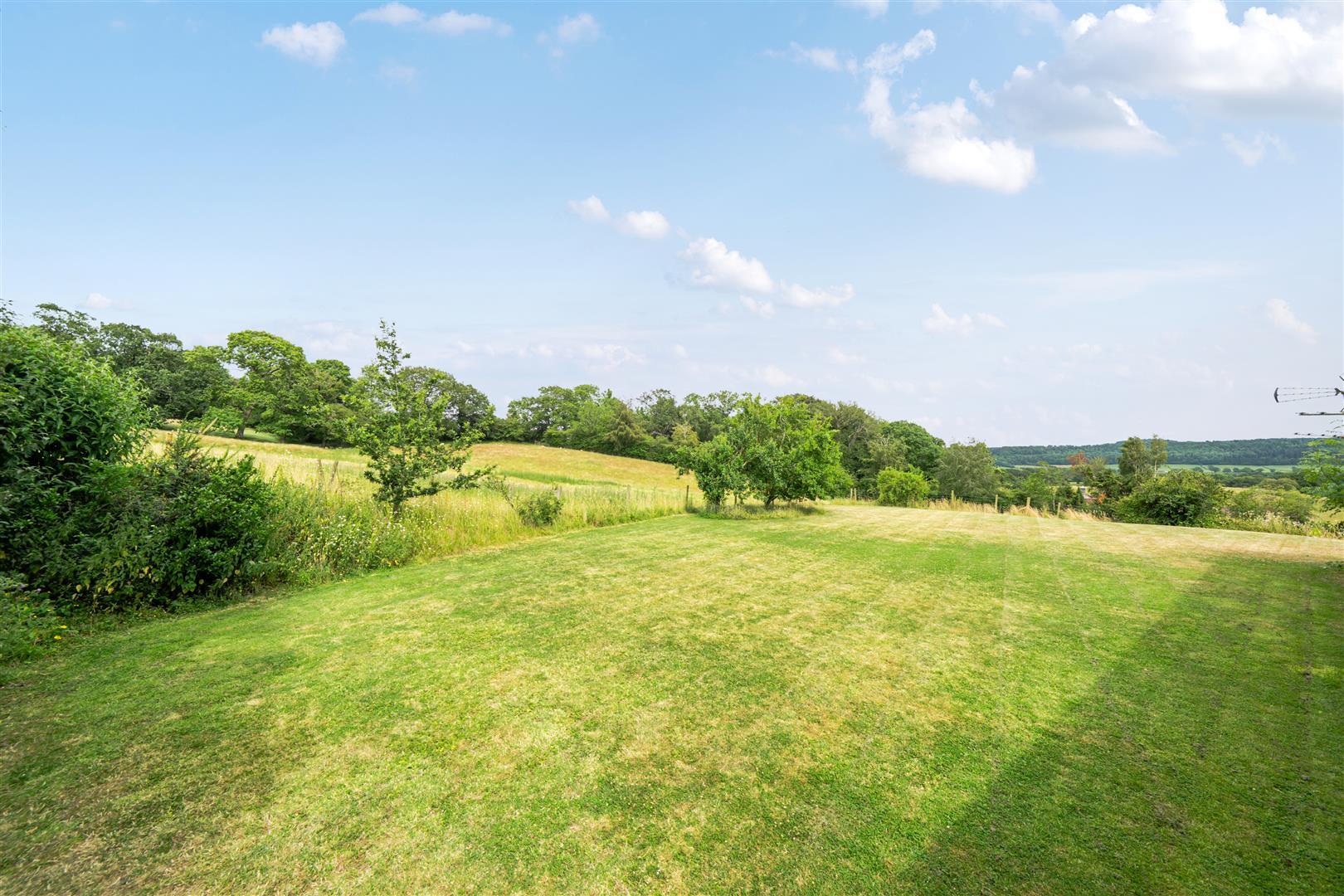 Property Image 16e265a4-179f-4e2f-b09e-924ff733908f