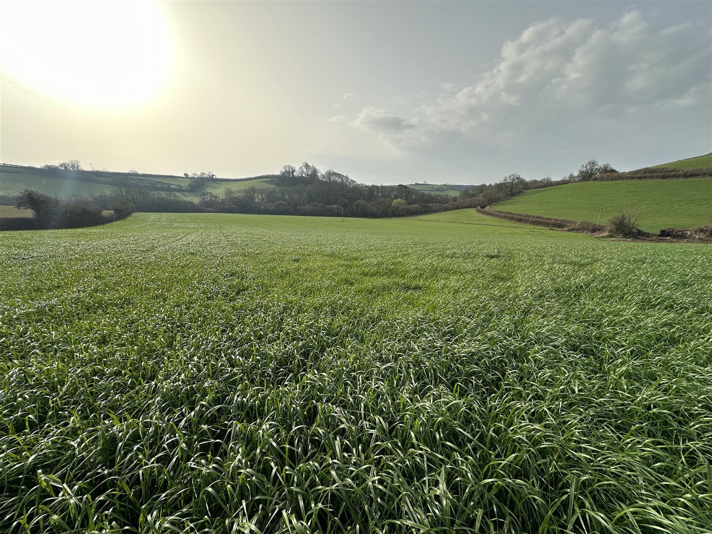 Property Image 173409f4-9684-4215-b48f-b22a5671ff07