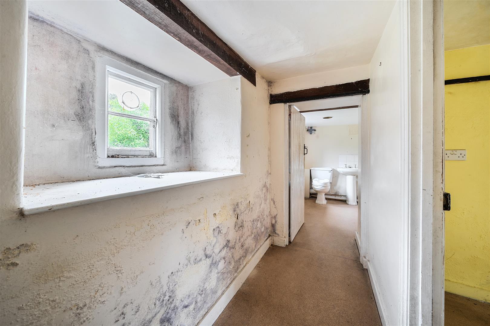 Property Image 1751ba72-481d-4d27-a830-ff21a81e0499