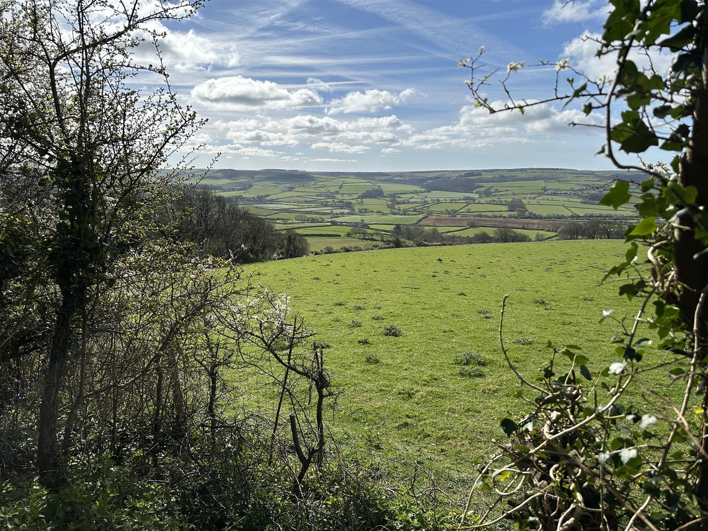 Property Image 176453d3-a93c-4dba-9f2c-ce5e0ff0f322