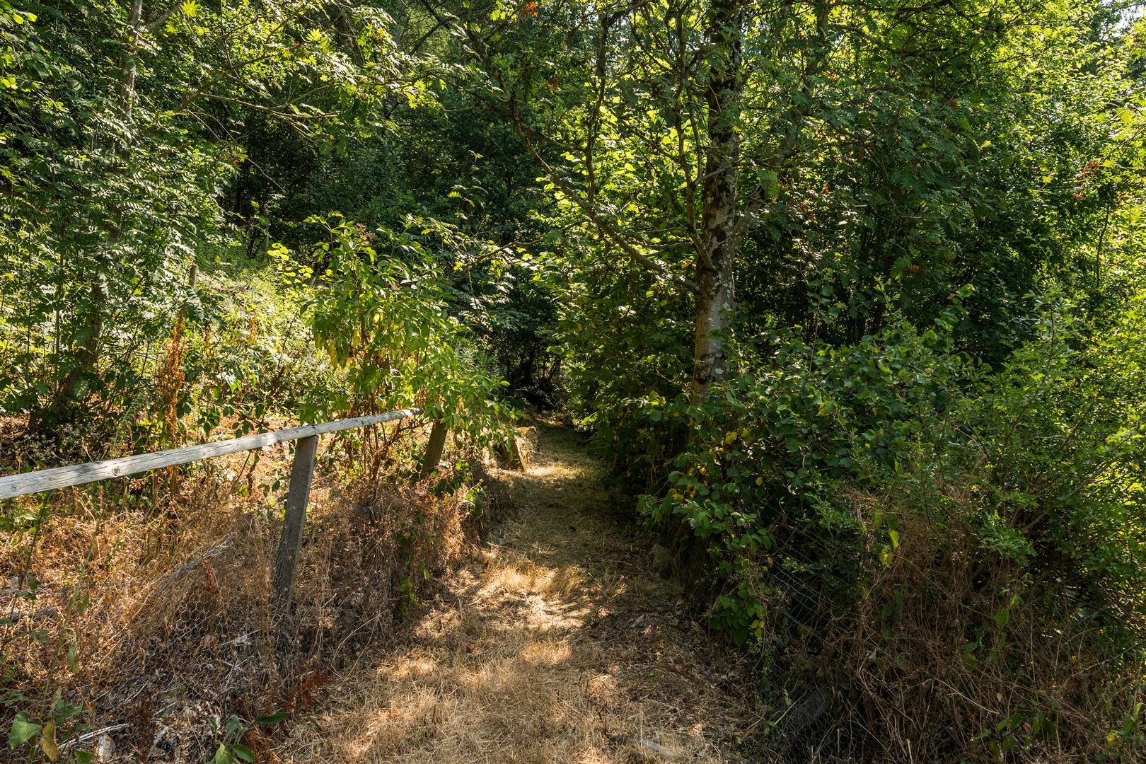 Property Image 17a73b2a-34c2-460f-b3aa-0107b5447837
