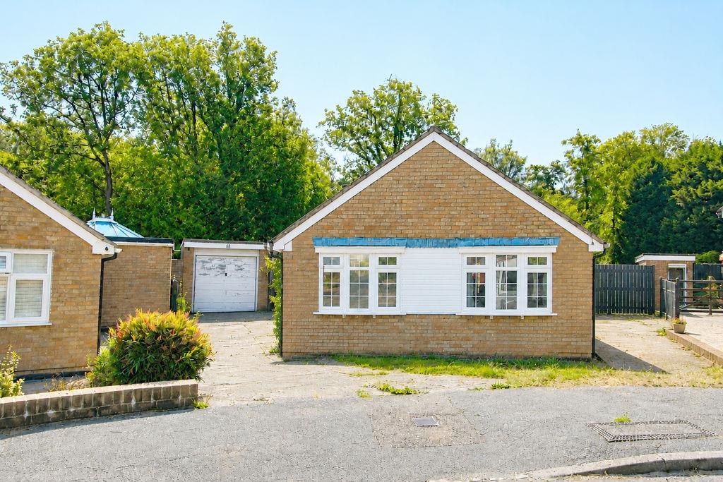 Property Image 17bd76cd-a024-4f4b-adbe-b99ff1e36681