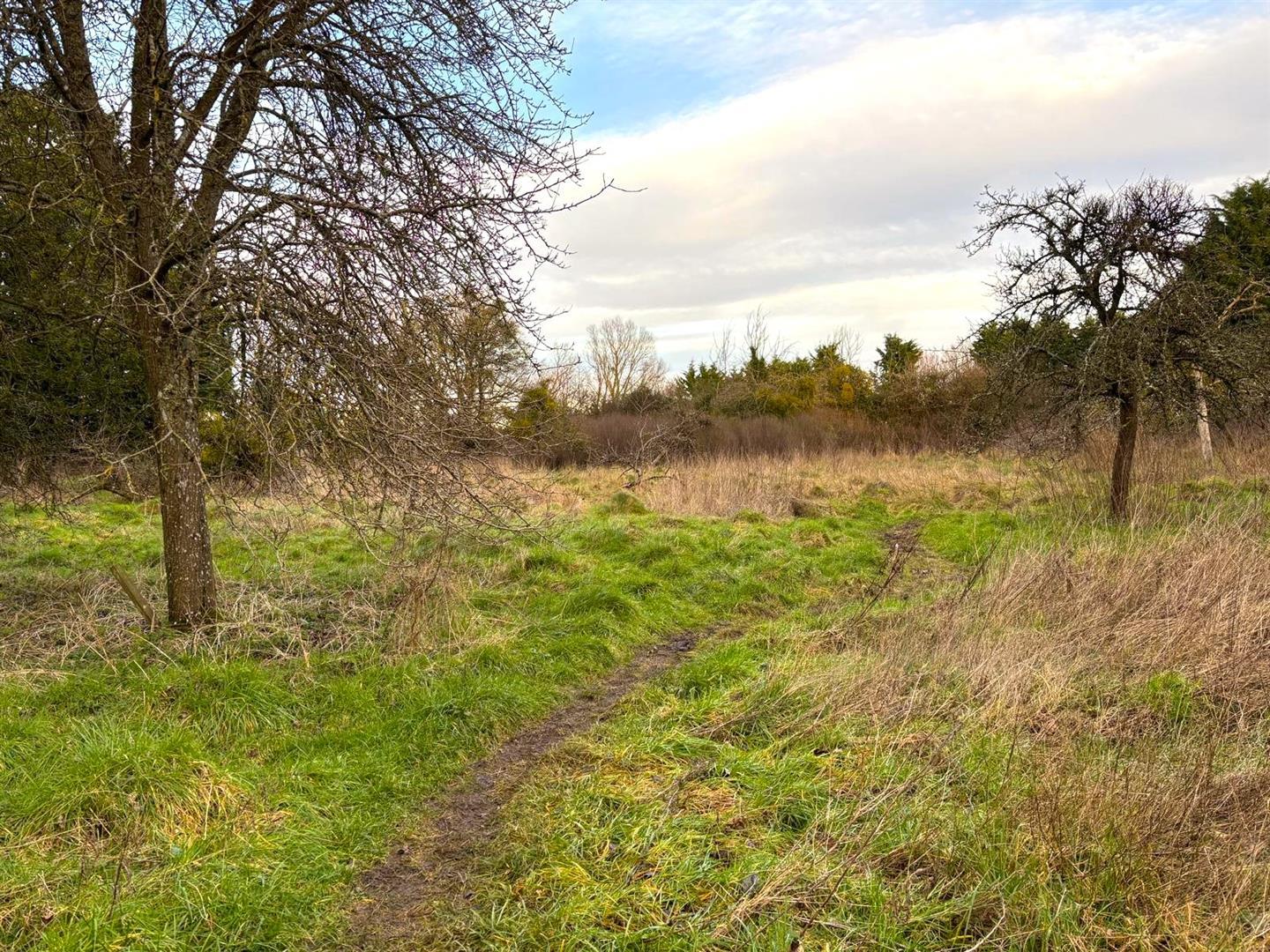 Property Image 17bf30a5-b2cc-4065-bb03-6e23eb886bac
