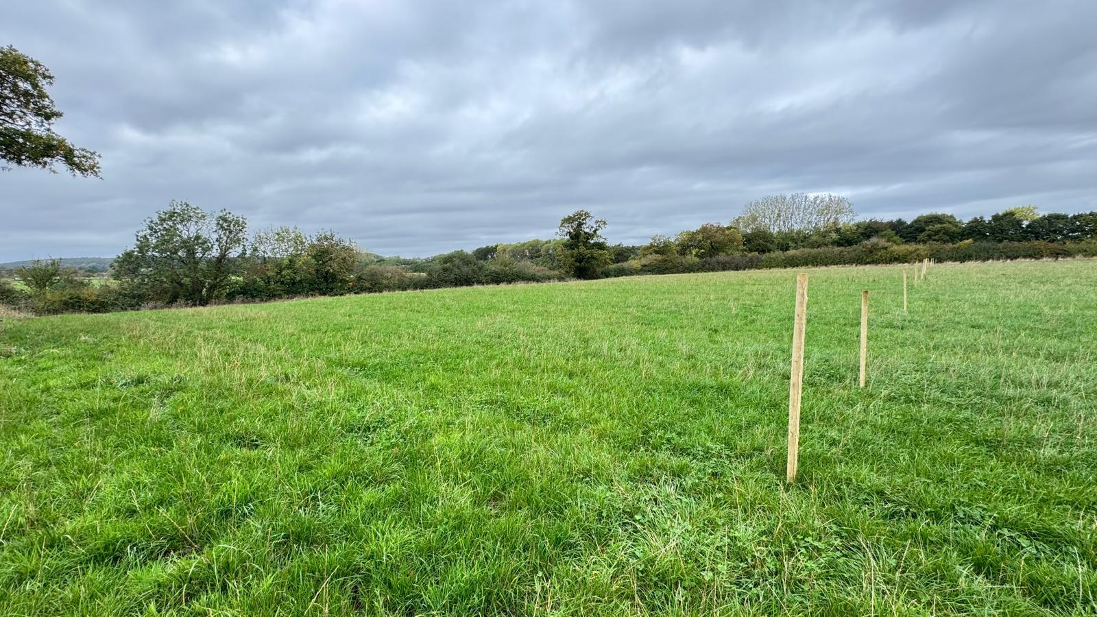 Property Image 18068b7d-1ec7-4f5c-ac53-ca6d63af63b5