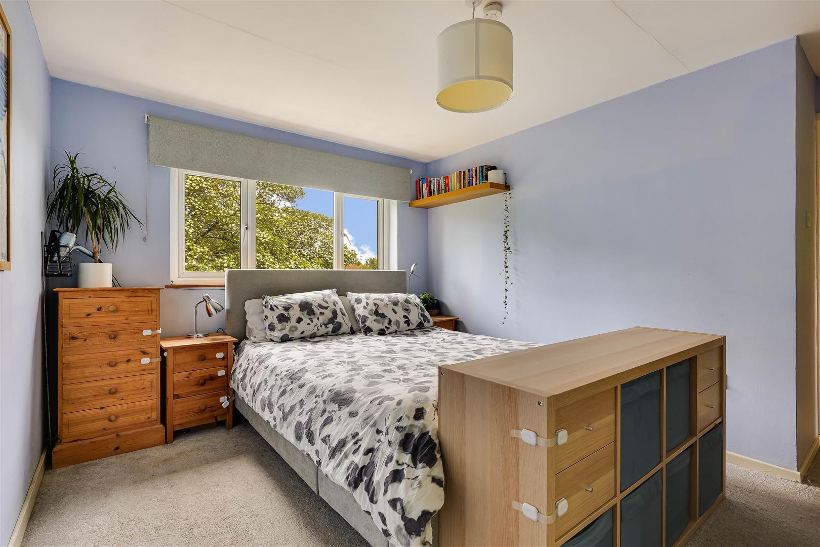 Property Image 180d0ef0-0f7f-4f21-a4de-1f2e157be75e