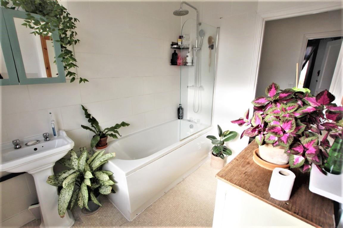 Property Image 1817c750-252b-4367-9d9b-05ca086bf704
