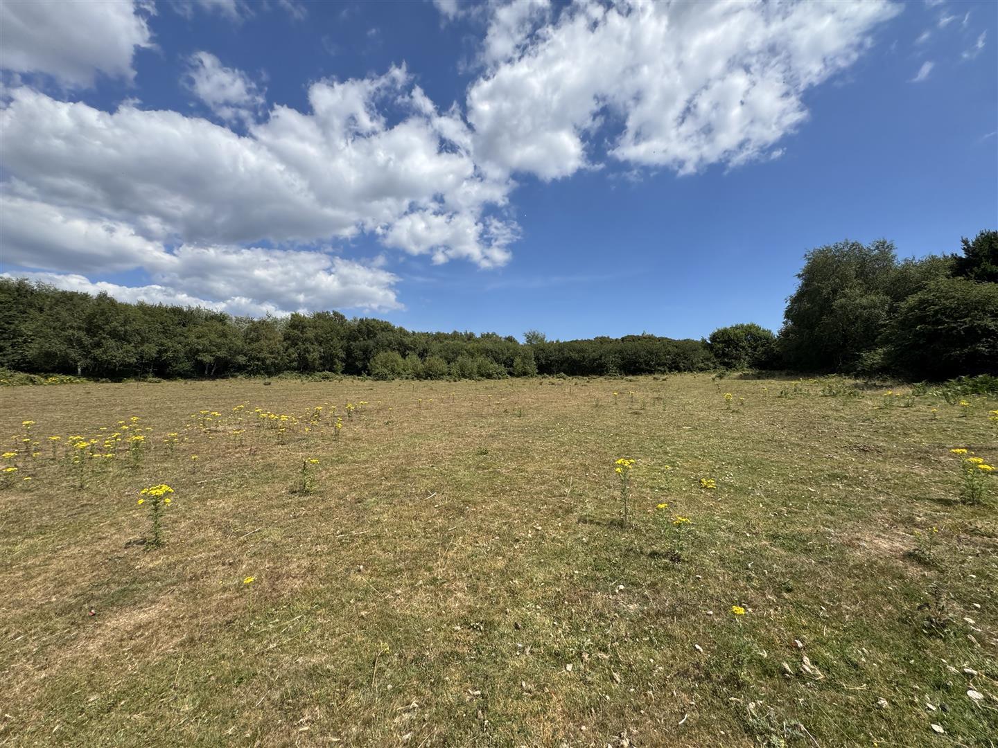 Property Image 1832845e-a5cd-4501-9456-80b10de7529d