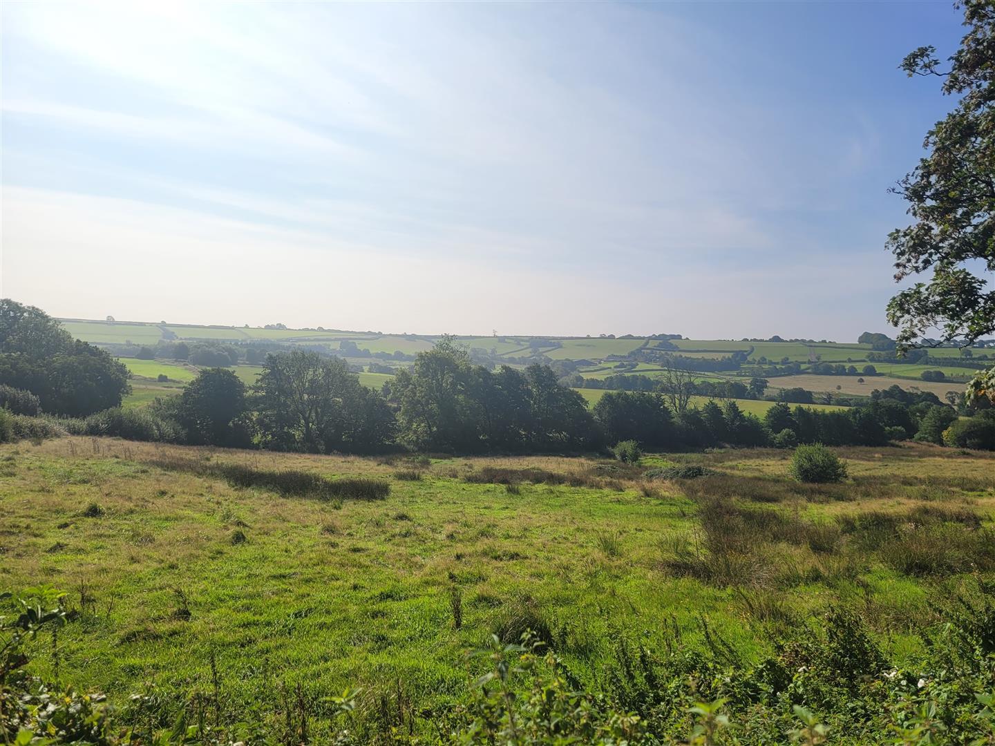 Property Image 1854886d-622d-4d18-9796-5e6c333995ce