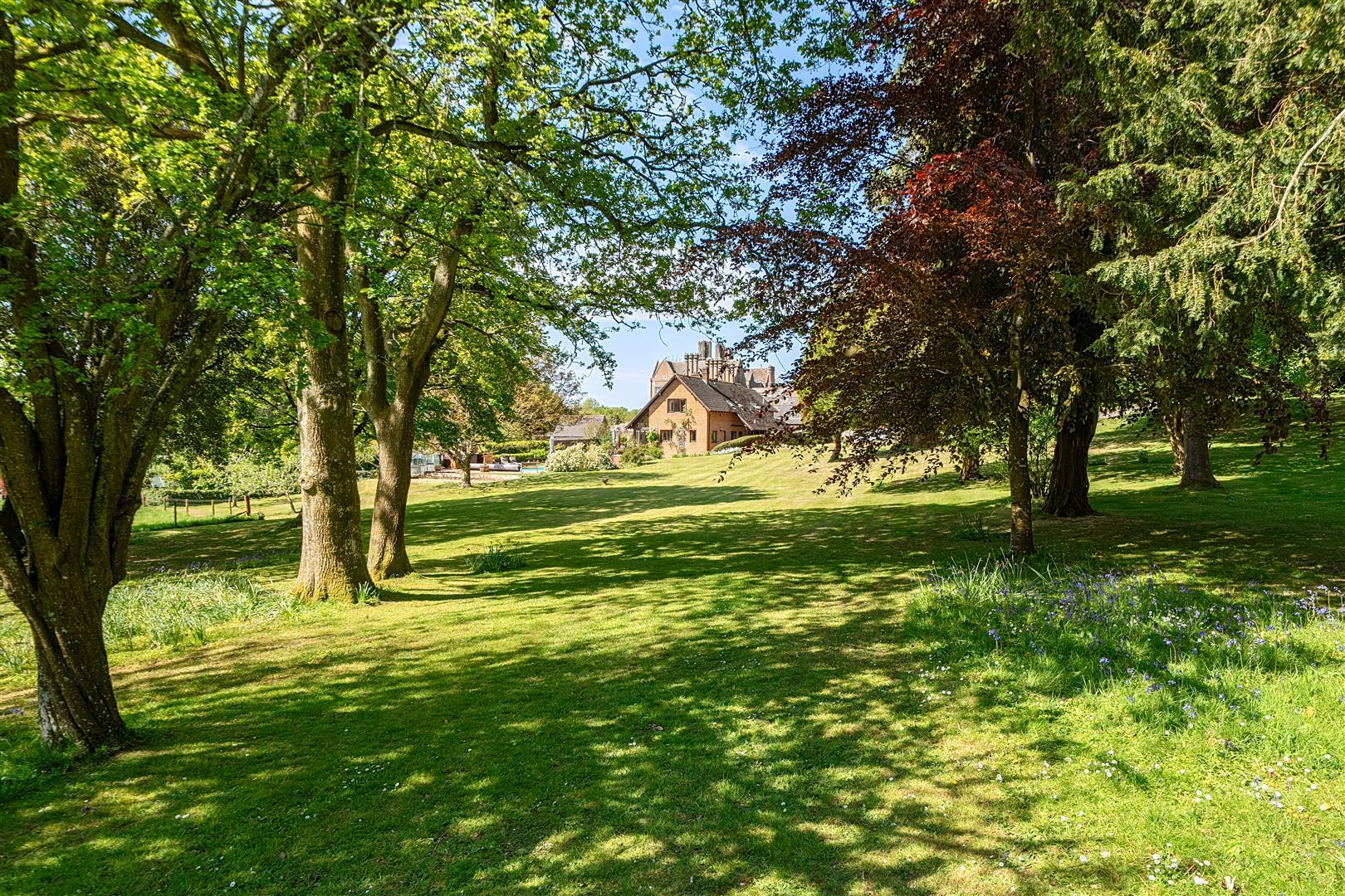 Property Image 185e8a5b-bbcc-4fa6-9ae3-2578ff234015