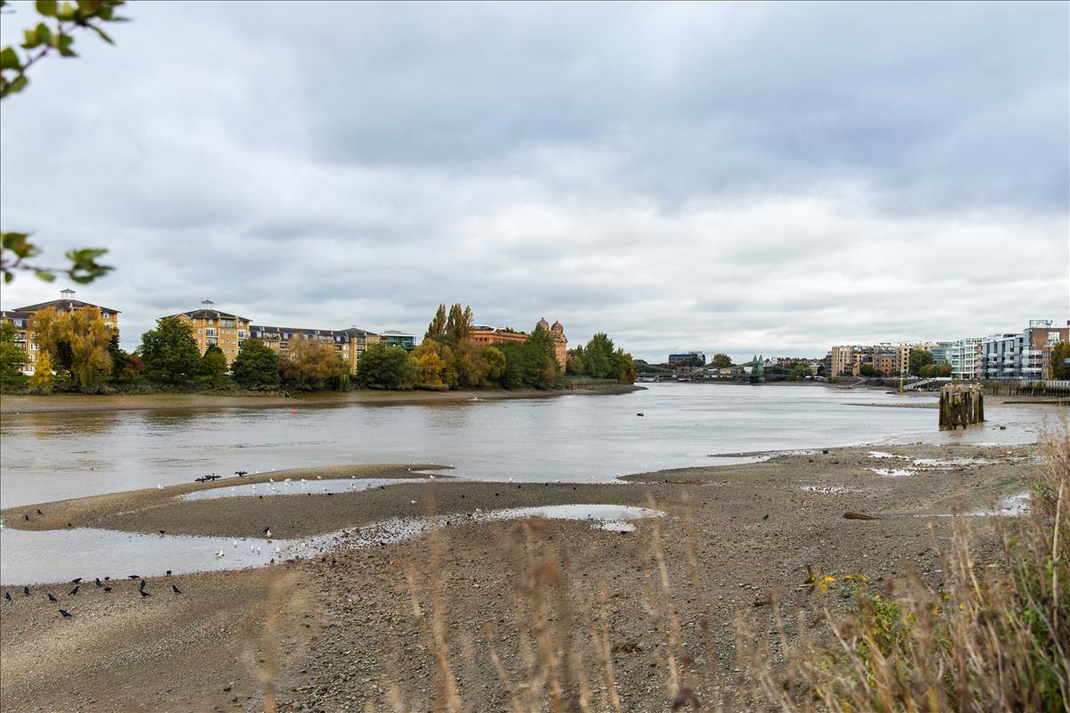 Property Image 185f671e-88b4-4383-9ab6-dfcc252af4dd
