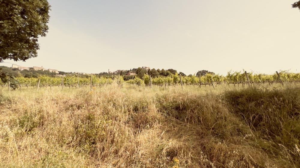 Property Image 1873370d-ceb6-494c-91ec-6f1cf9458fc2