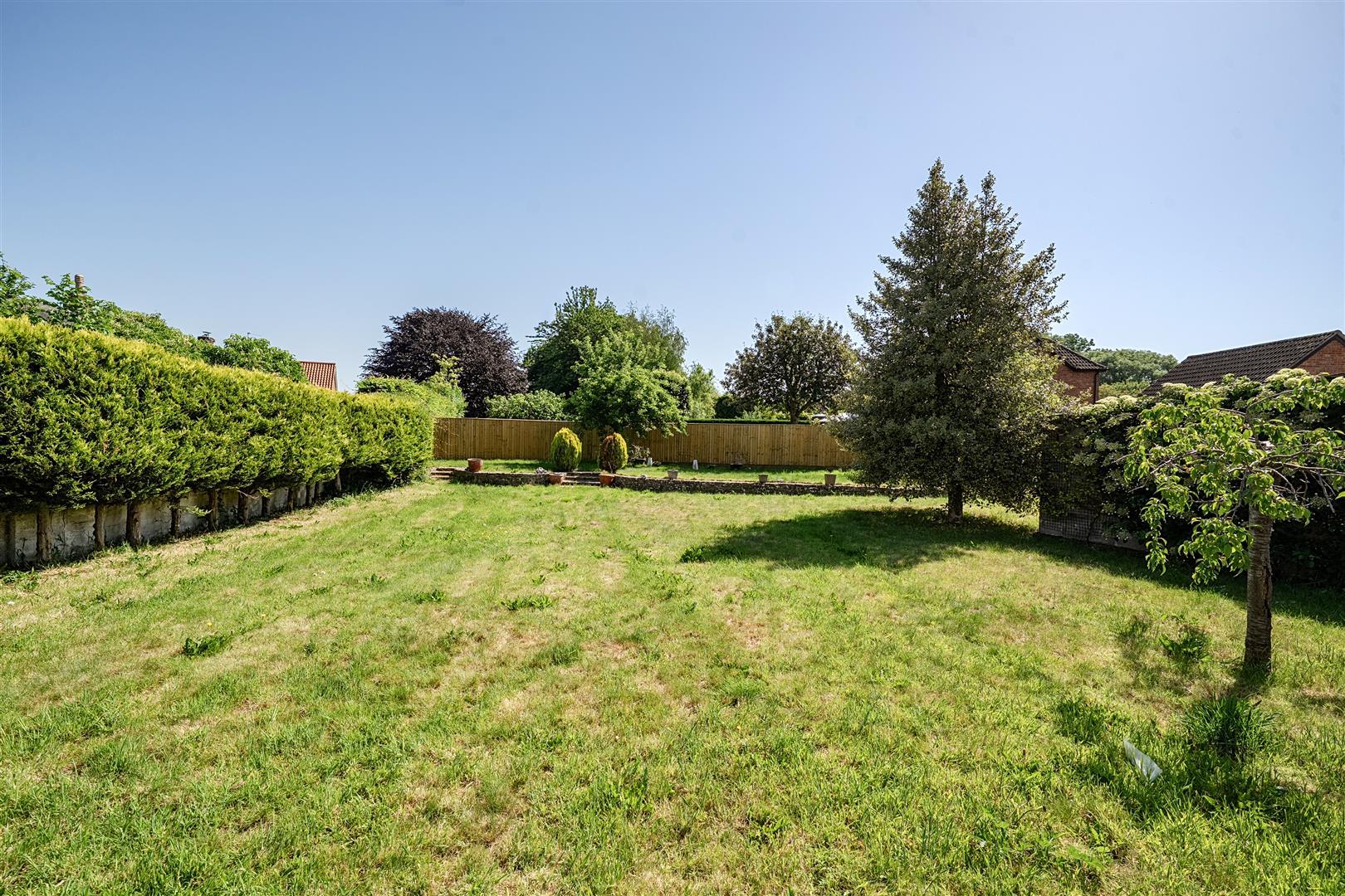 Property Image 18c04e15-874f-4007-bb82-3e9213047e24