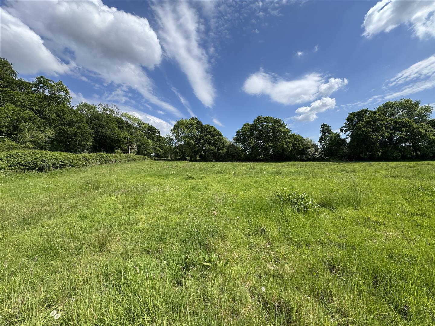 Property Image 18ca45e9-9d31-4ba7-87a2-f9fc7651e78b
